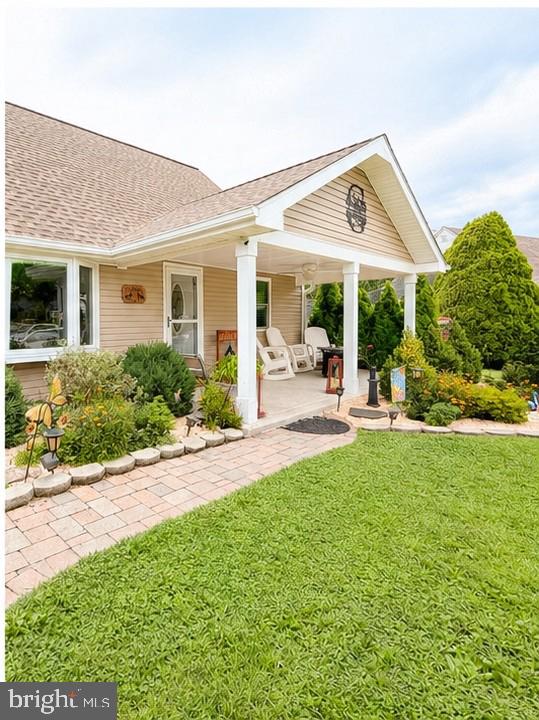61 BEGONIA LANE