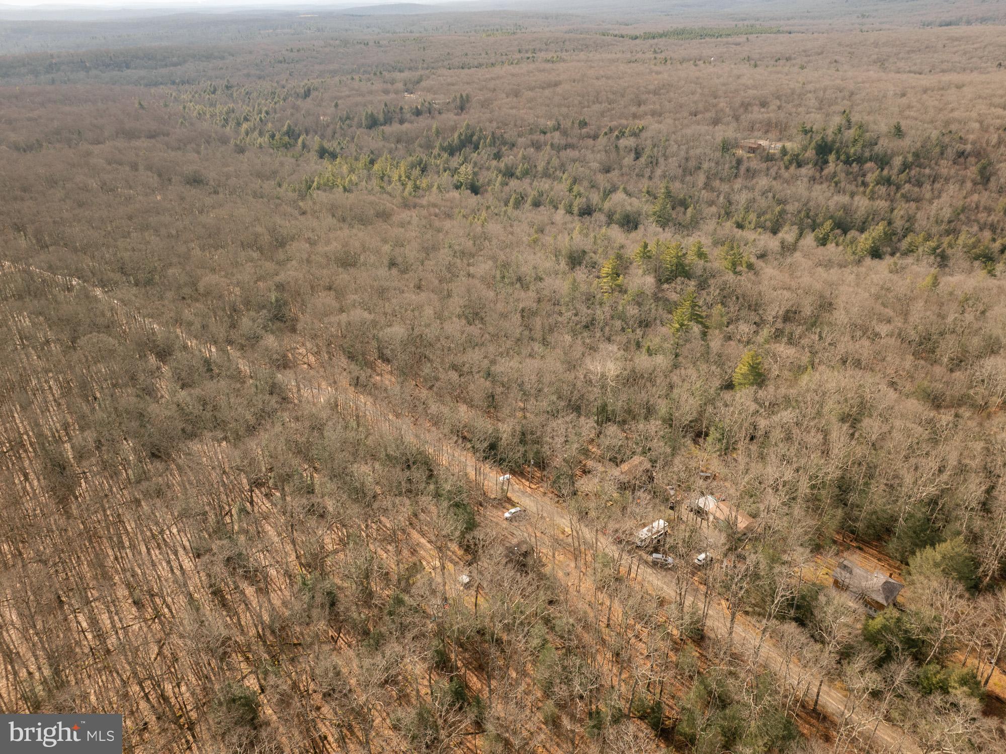 PINEY MOUNTAIN CORP - Residential