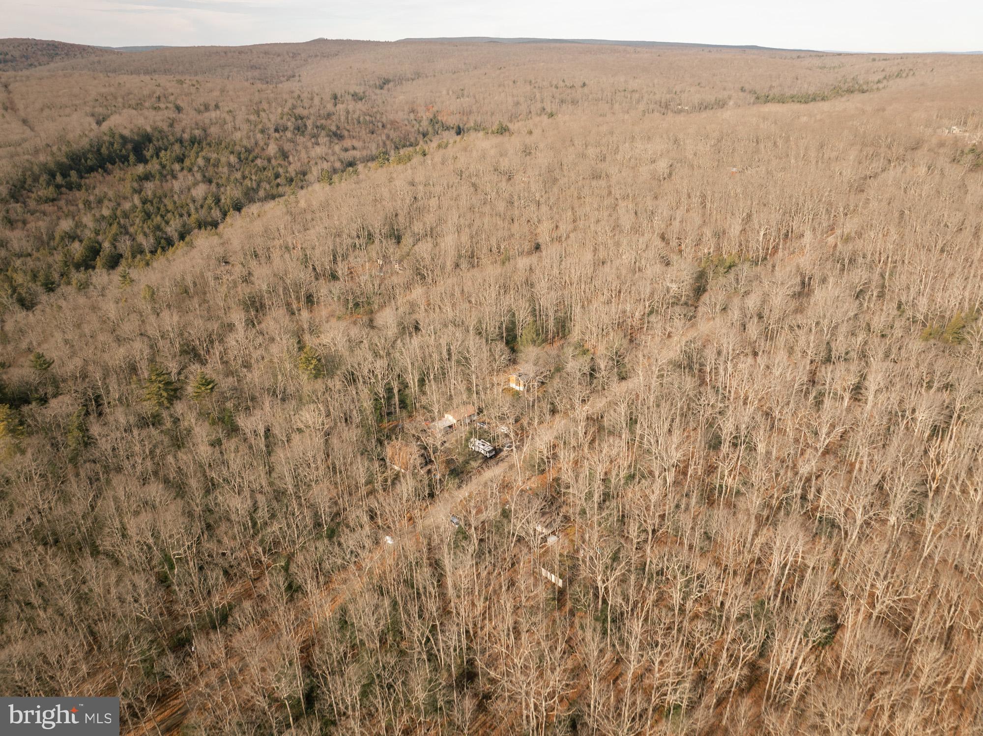 PINEY MOUNTAIN CORP - Residential