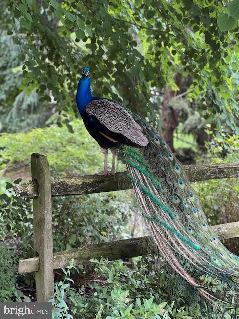 WILLOWDALE CROSSIN - Residential