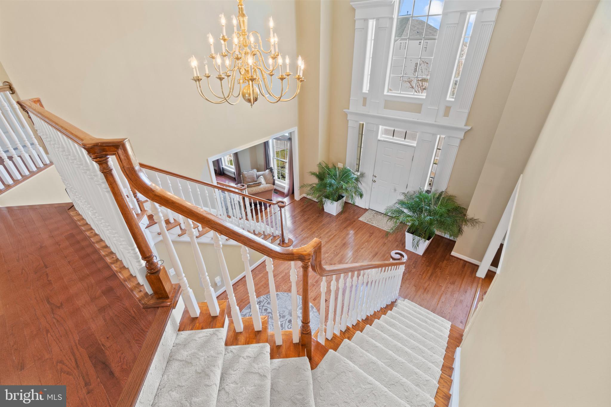 ESTATES AT LEE'S PARKE - Residential