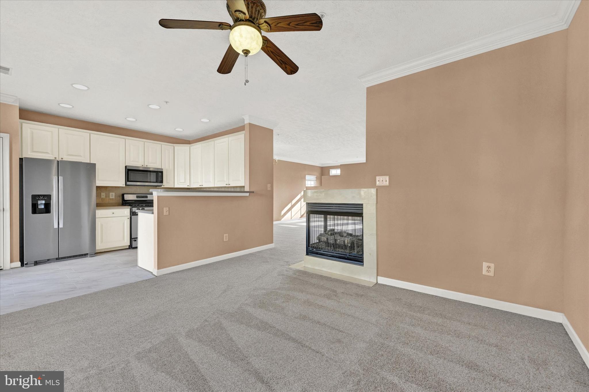 VILLAGE OF MILL RUN - Residential