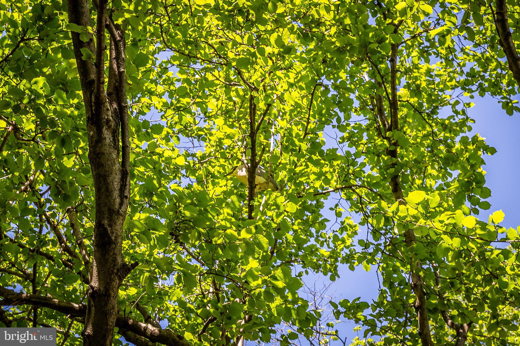 EASTPORT - Residential