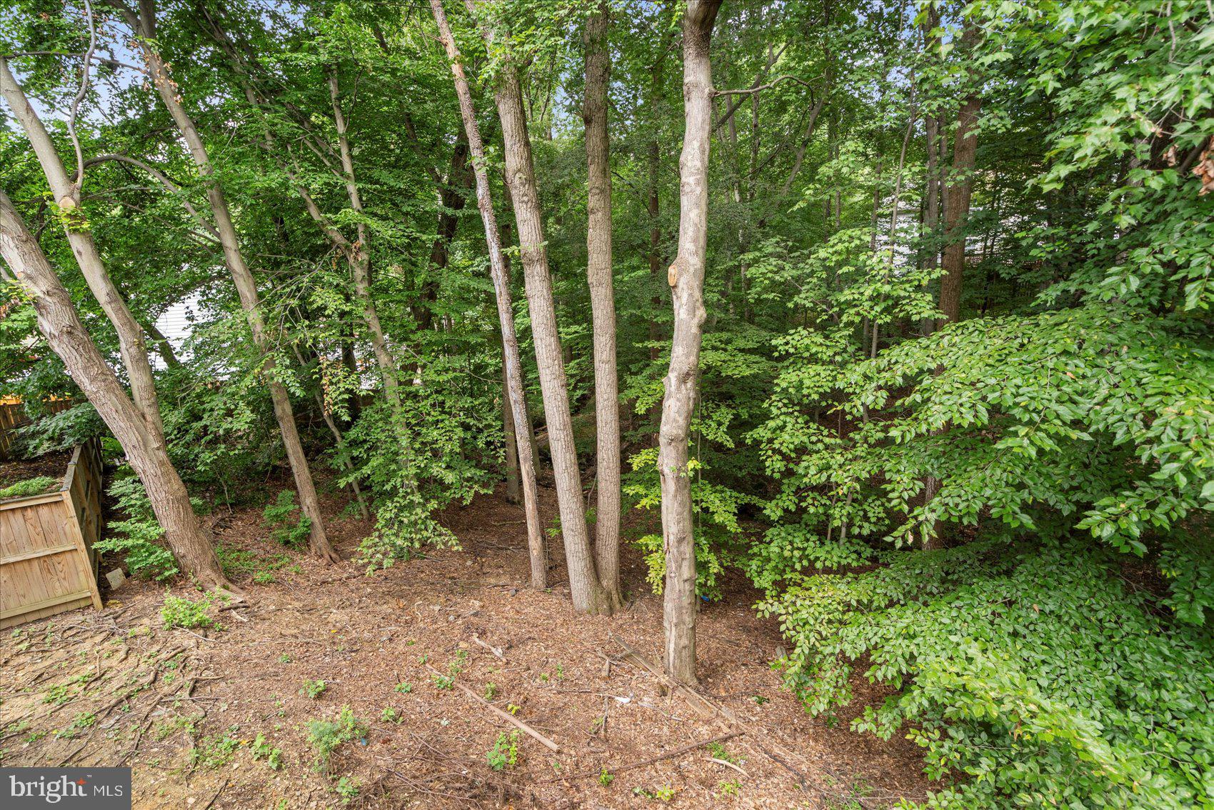 VALLEY STREAM ESTATES - Residential