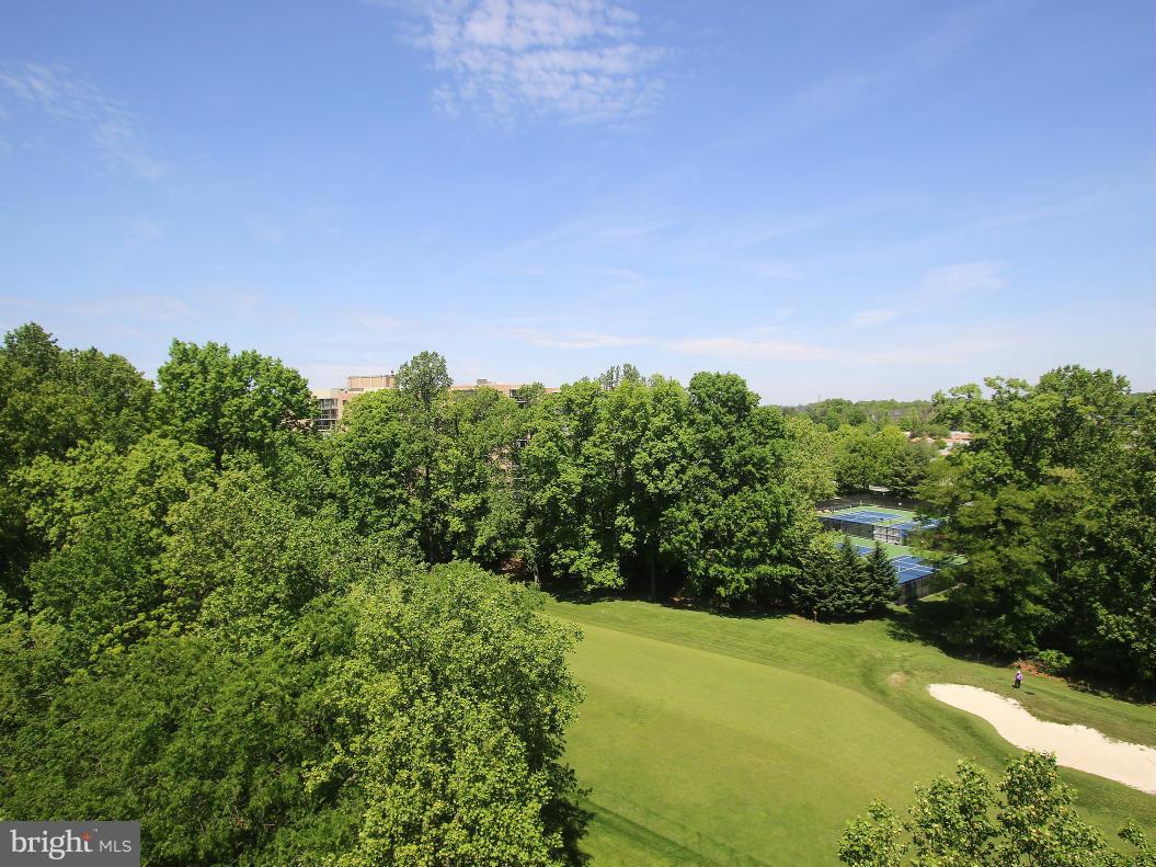 GREENS AT LEISURE WORLD - Residential