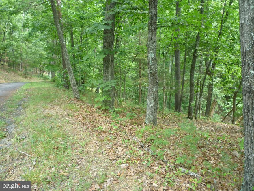 Wooded Building Lot - Slight Slope - Perfect for  a walk-out basement...