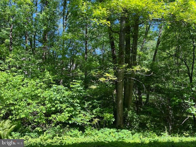 VILLAGE OF KINGS CONTRIVANCE - Residential