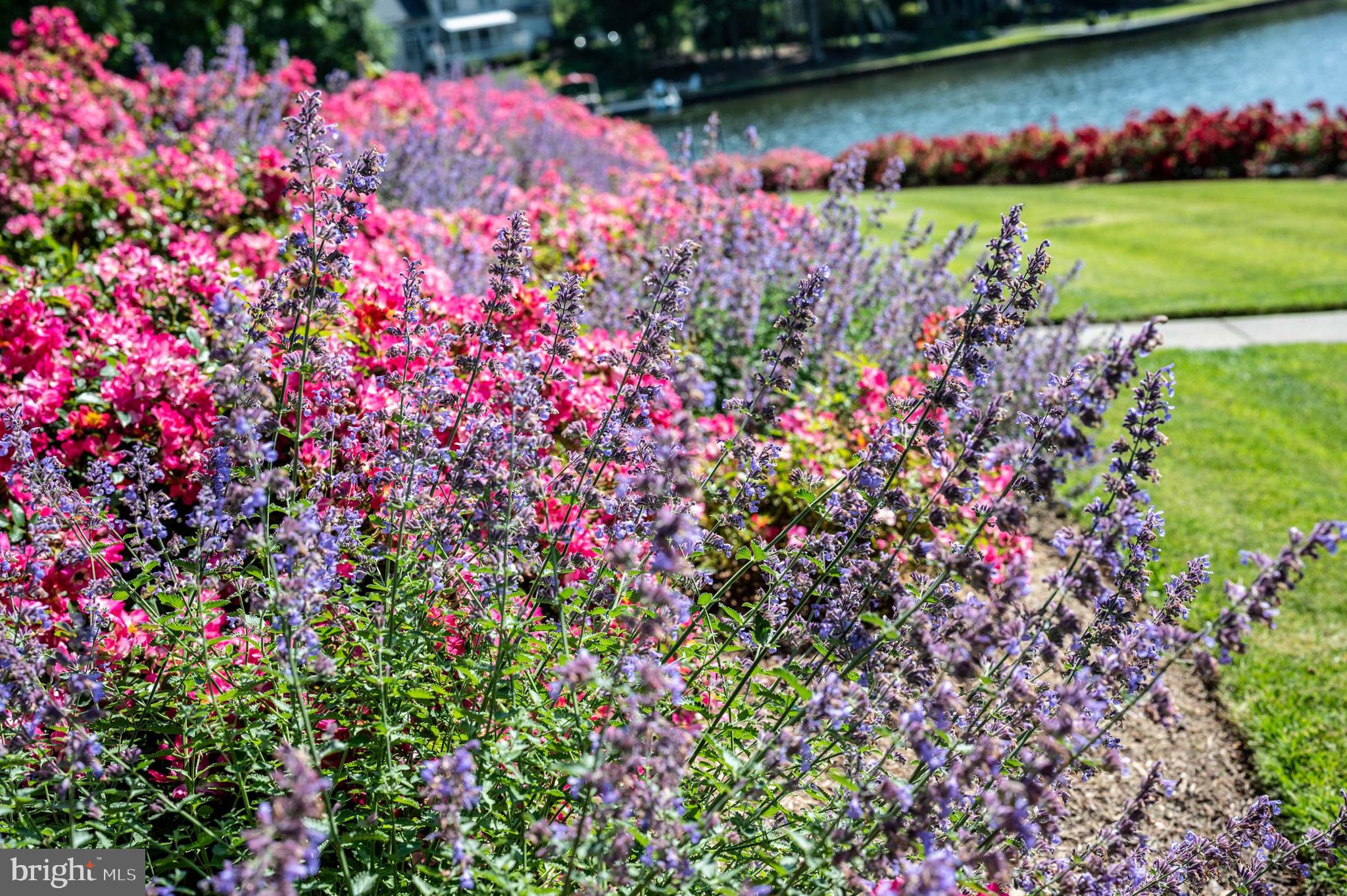 FAWN LAKE - Residential