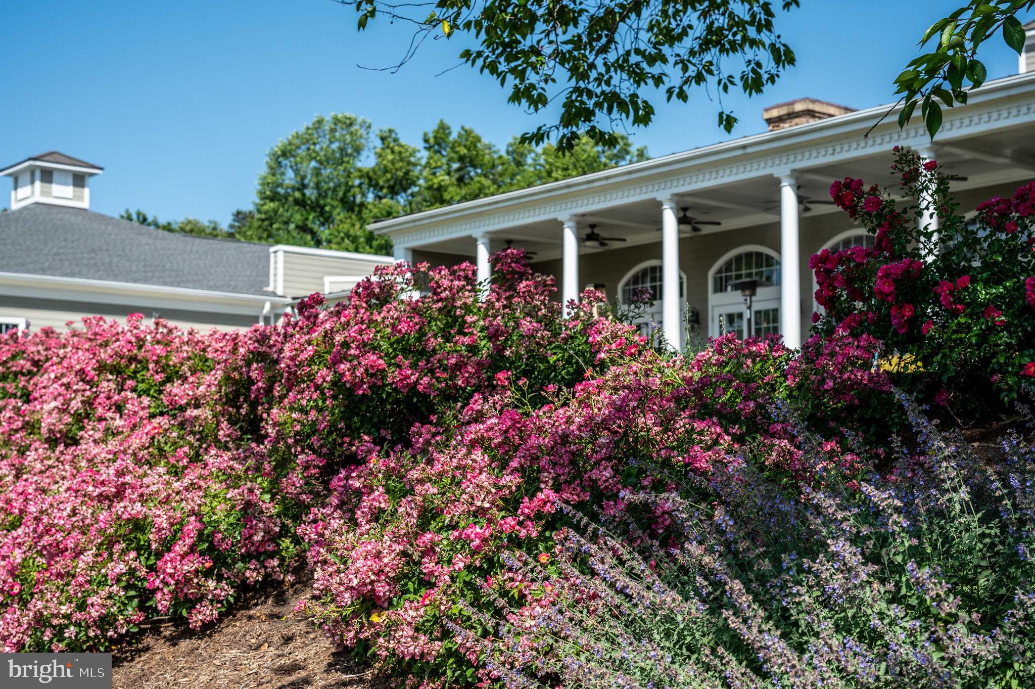 FAWN LAKE - Residential