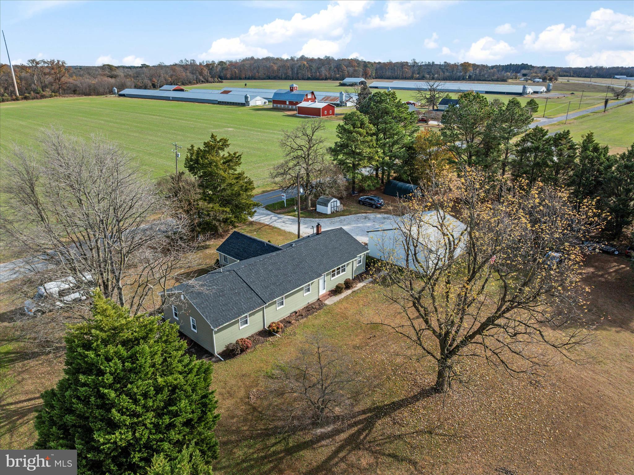 DORCHESTER - Residential