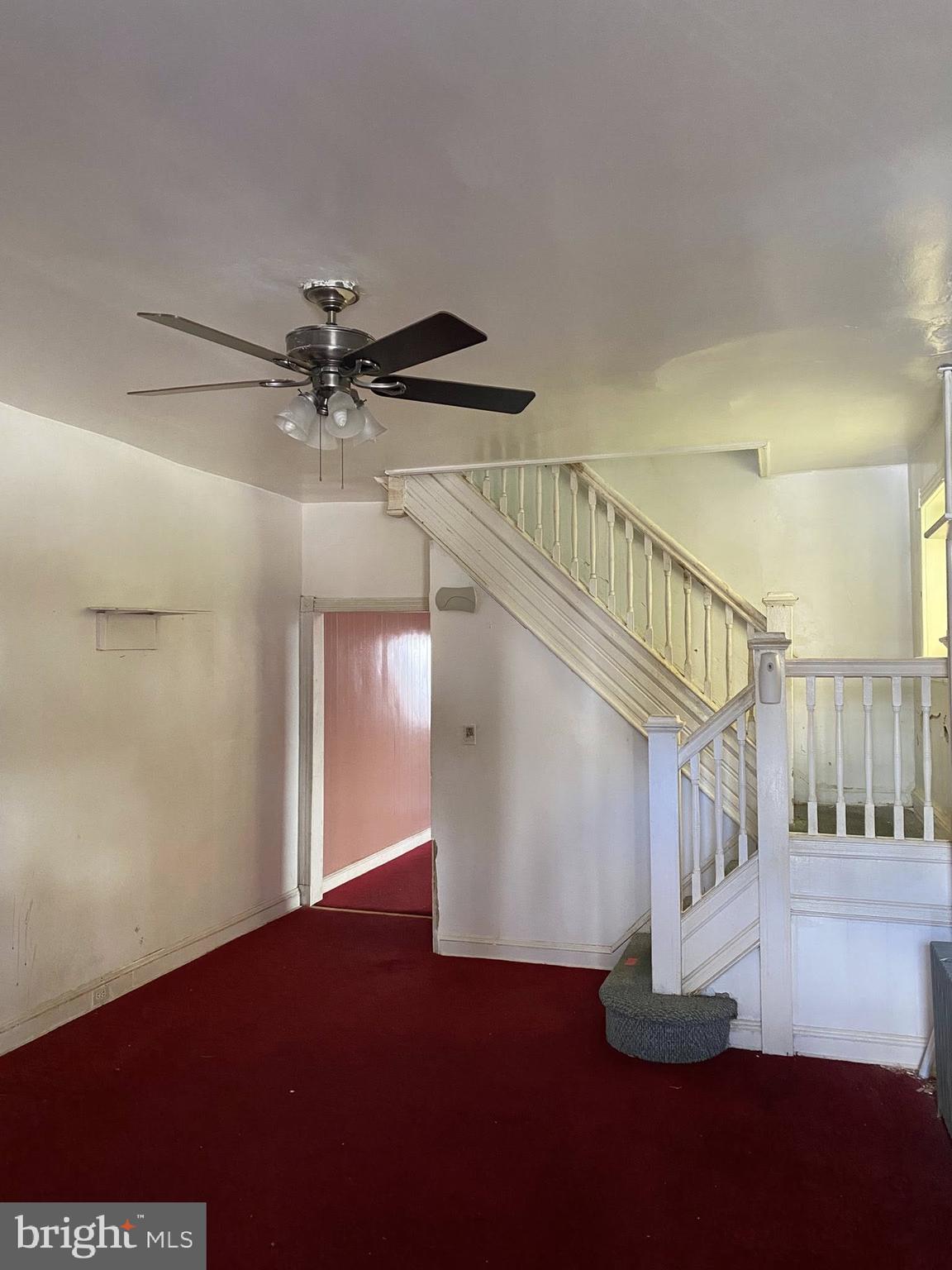 PEN LUCY - Residential