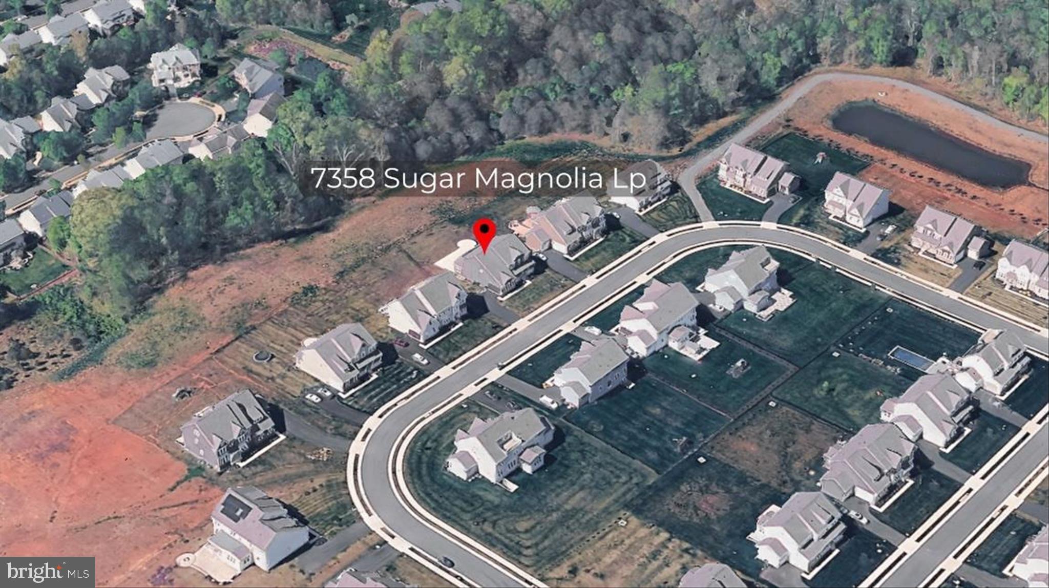 7358 SUGAR MAGNOLIA LOOP