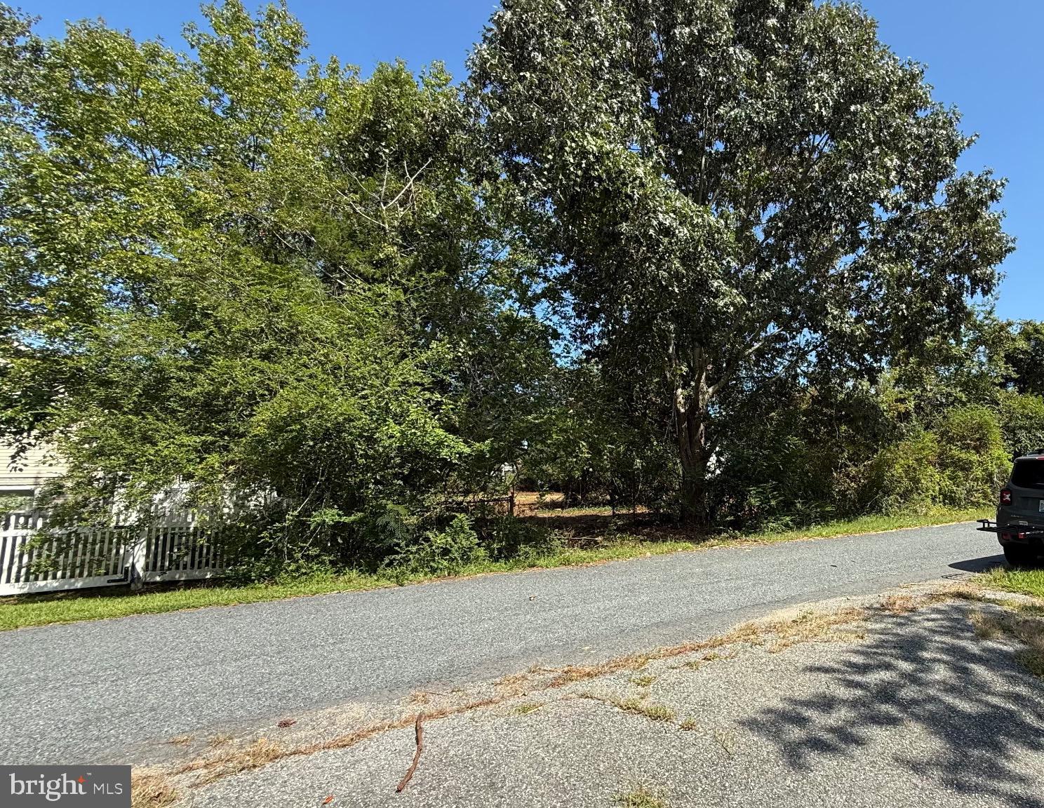 LAKE DRIVE