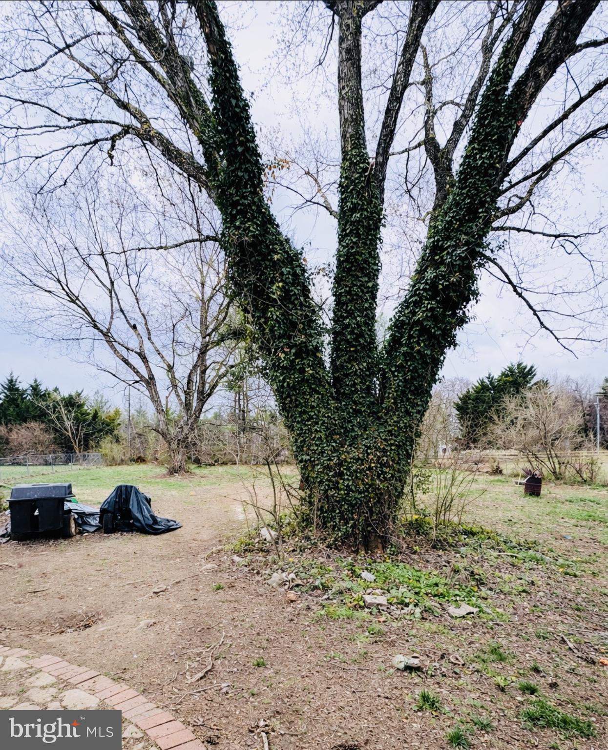 RIDGE POINT ESTATES - Residential