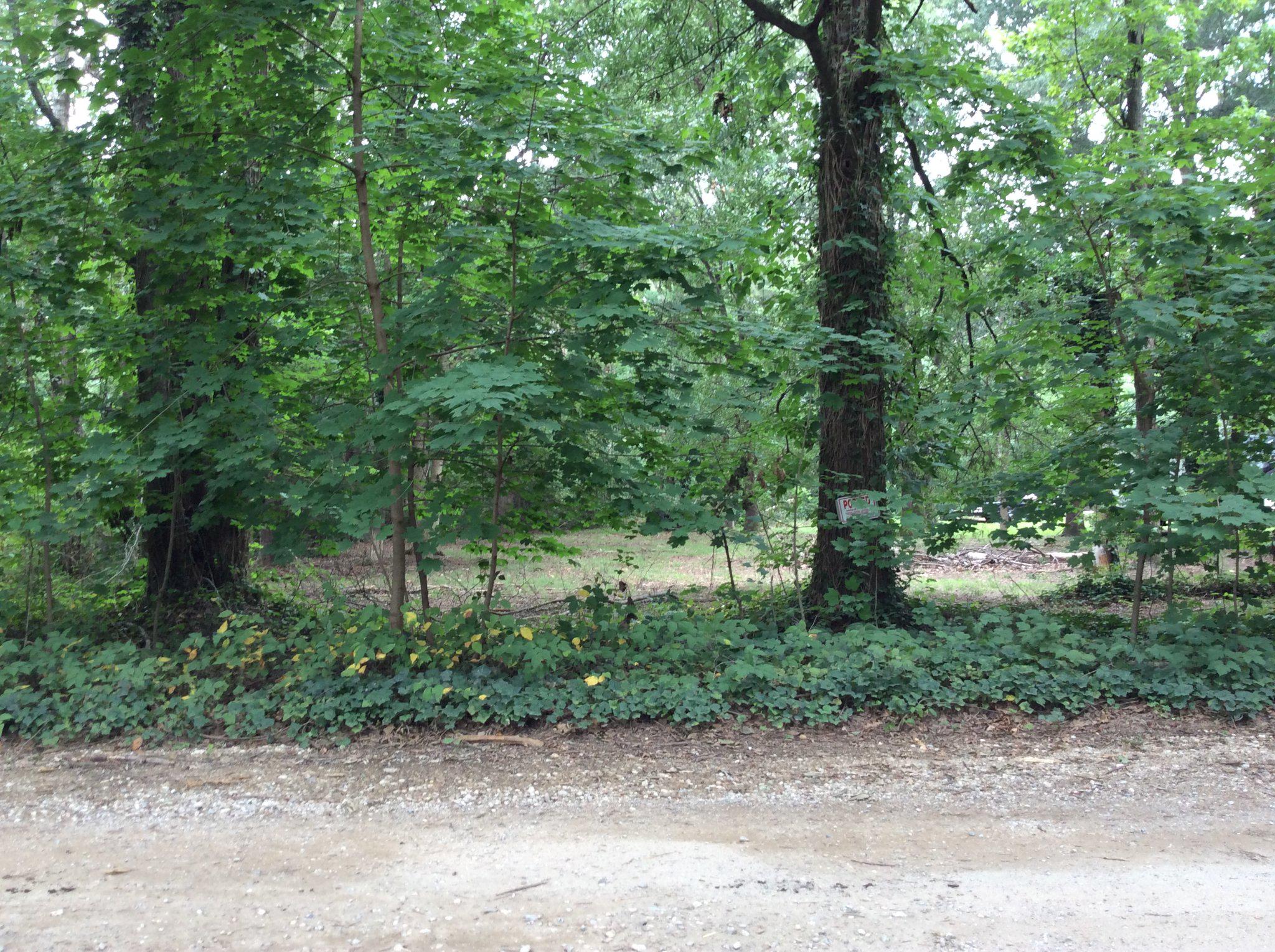 233 MERGANSER DRIVE