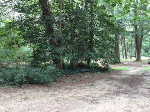 Vacant Land For Sale - 233 Merganser Drive<br/> CHESTERTOWN, MD 21620