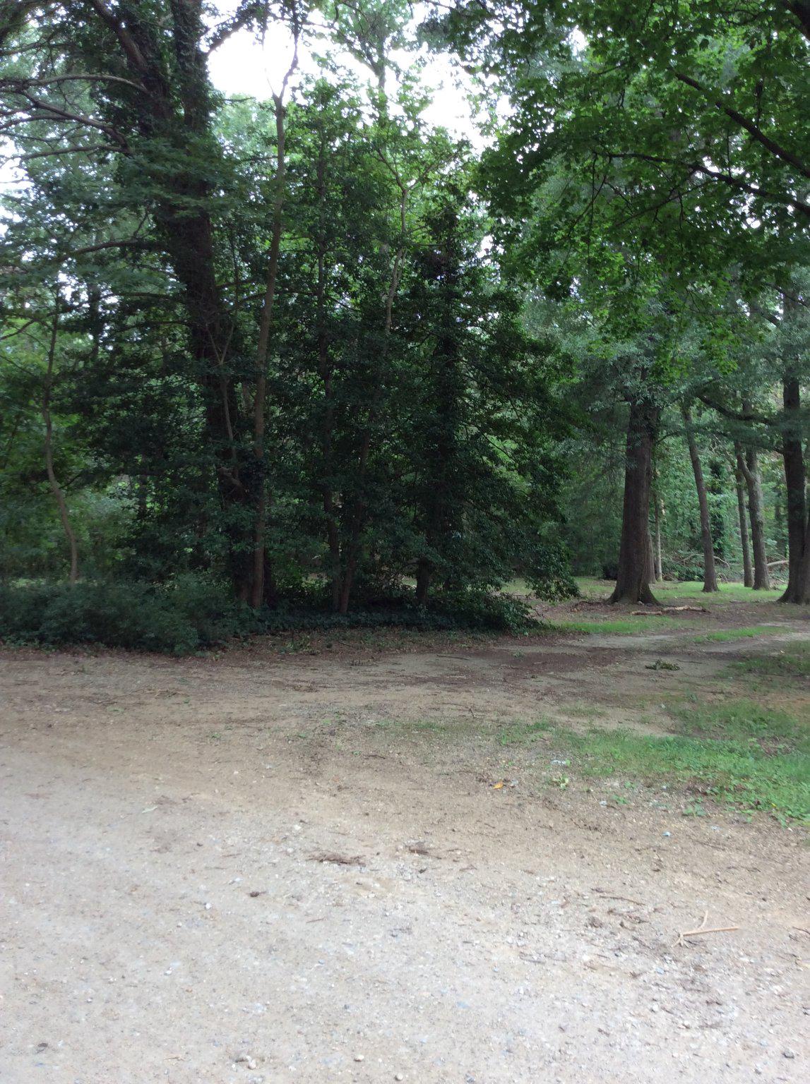 233 MERGANSER DRIVE