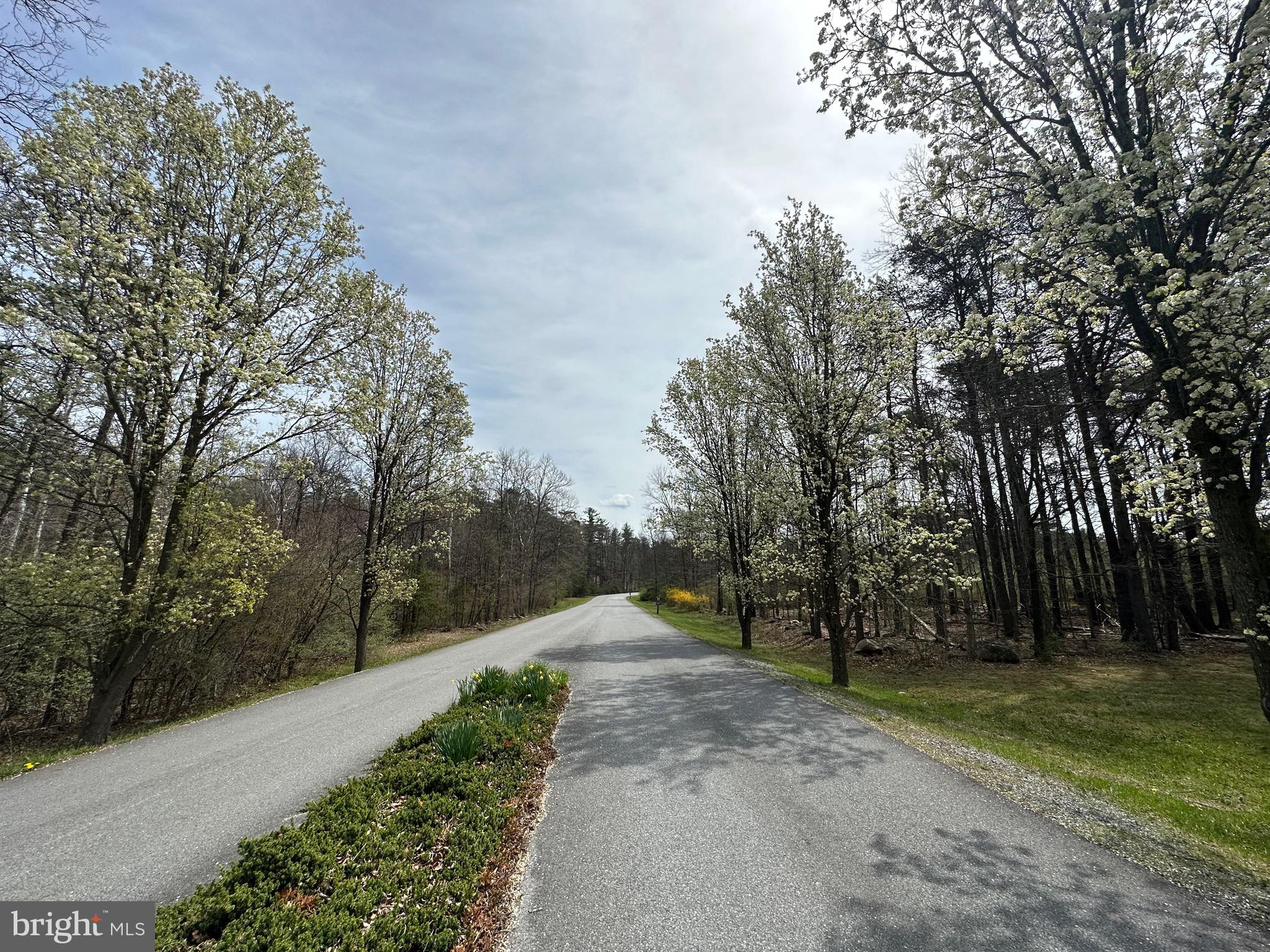 CACAPON SOUTH - Residential