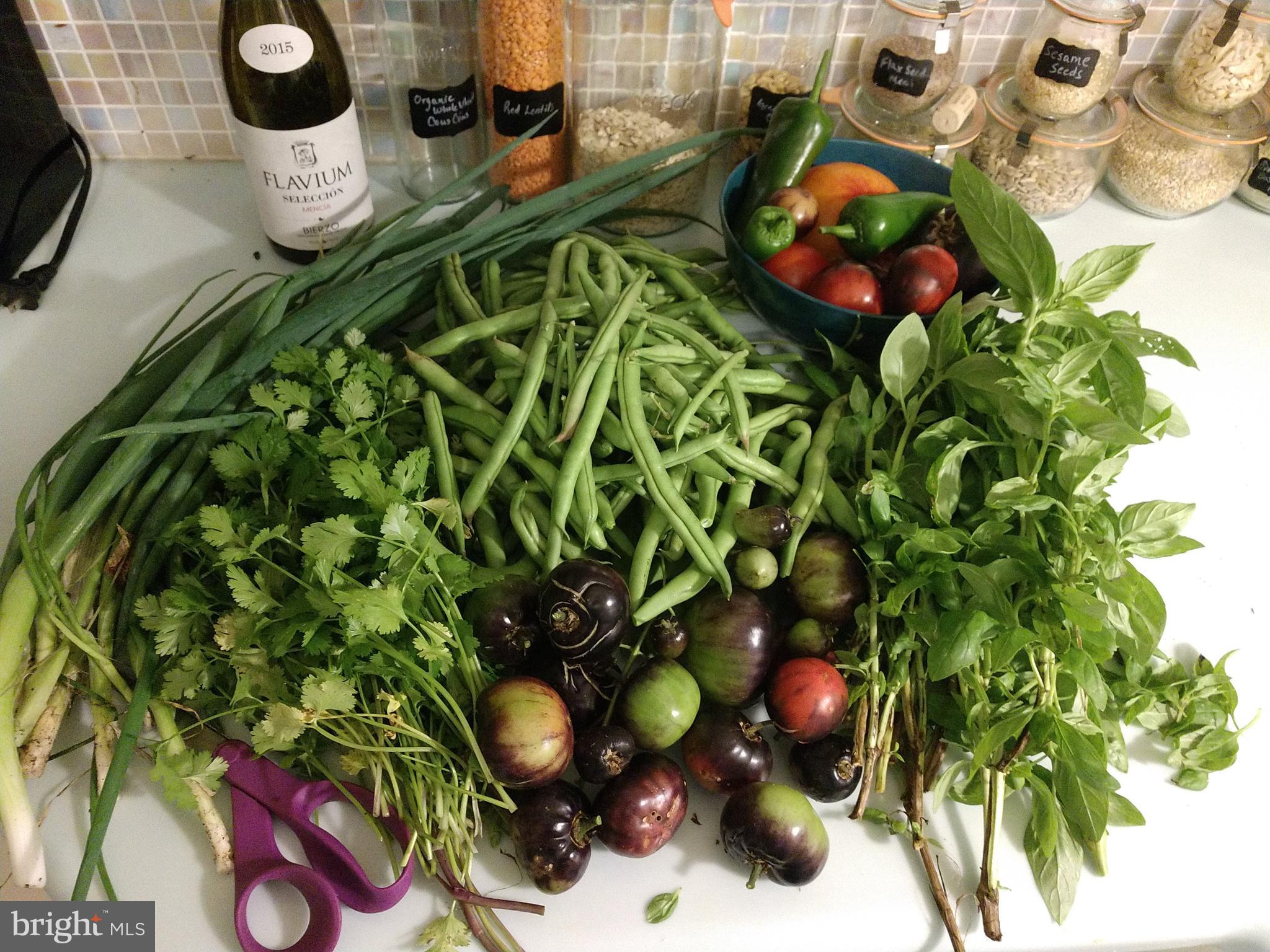 BARNESVILLE OUTSIDE - Residential