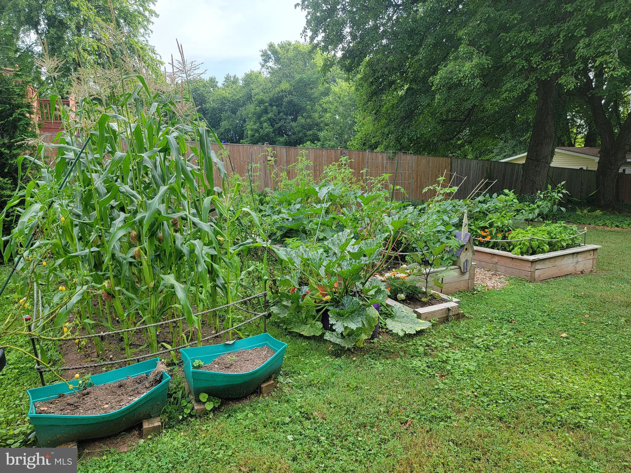 BARNESVILLE OUTSIDE - Residential