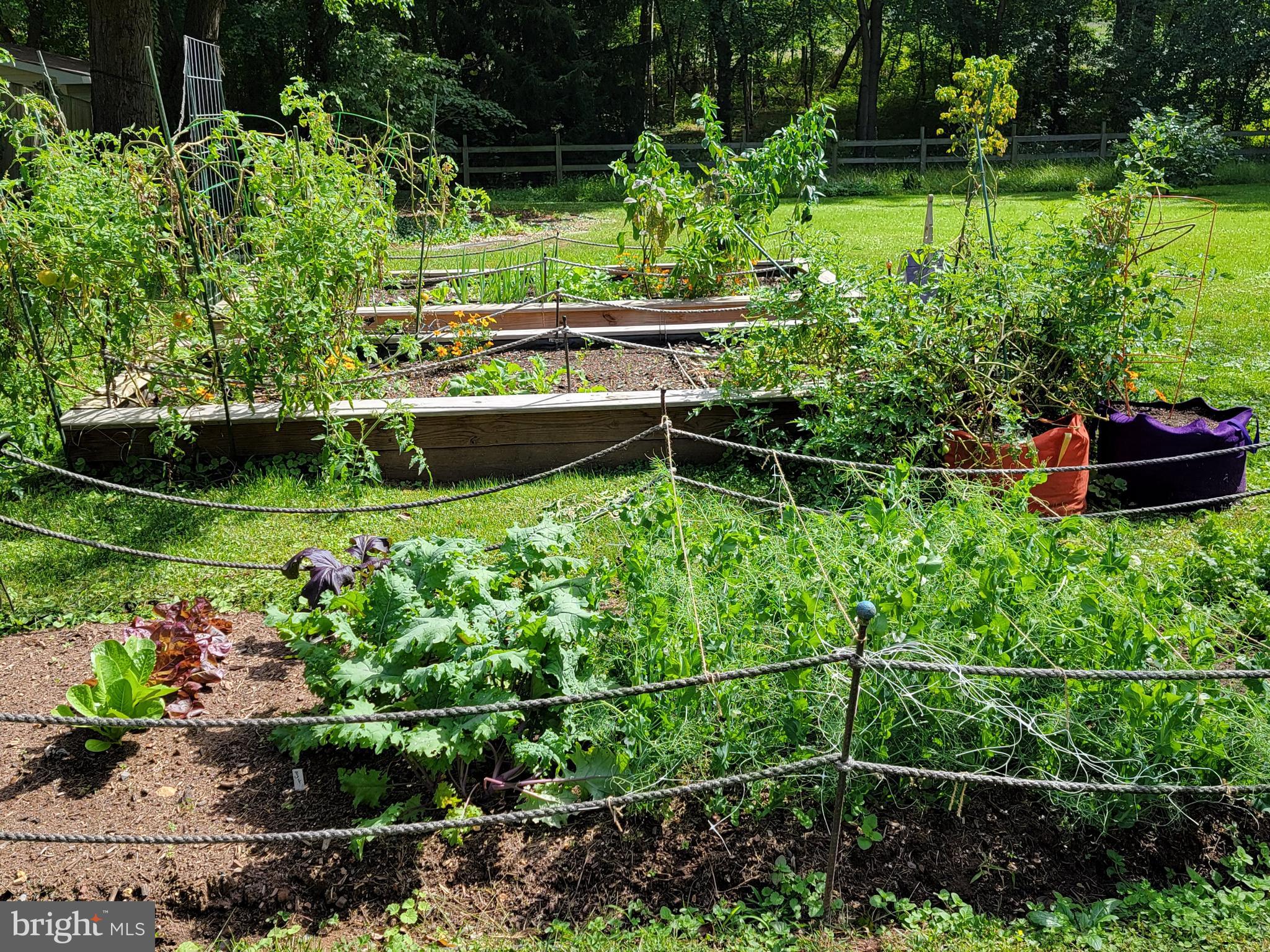 BARNESVILLE OUTSIDE - Residential