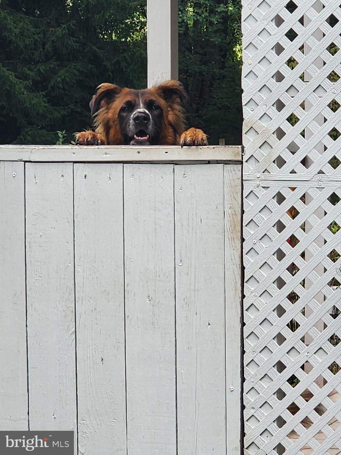 BARNESVILLE OUTSIDE - Residential