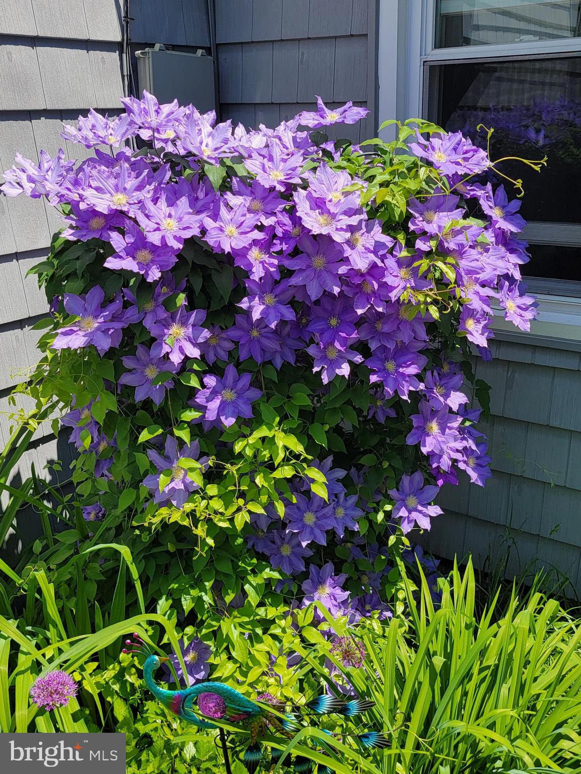 BARNESVILLE OUTSIDE - Residential