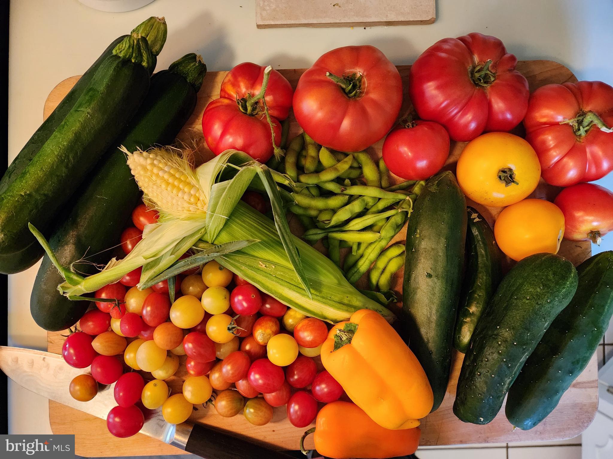 BARNESVILLE OUTSIDE - Residential