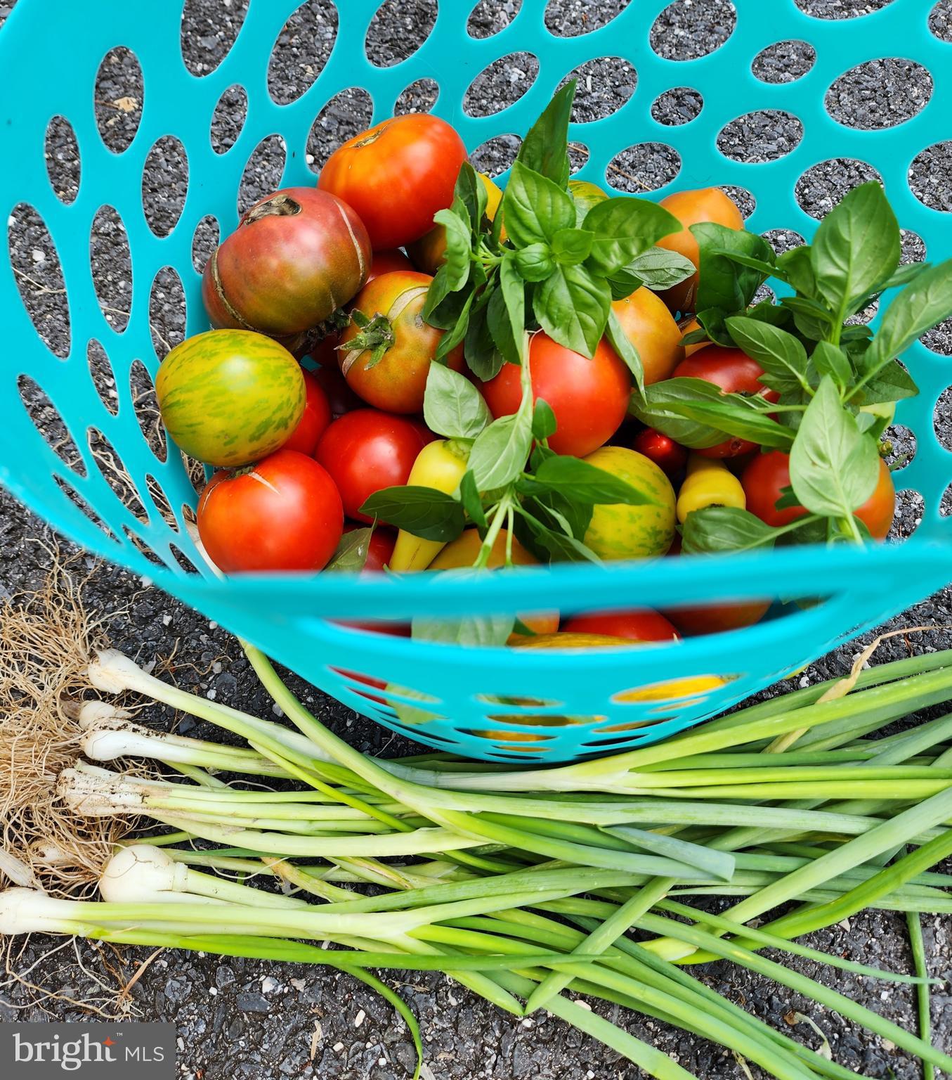 BARNESVILLE OUTSIDE - Residential