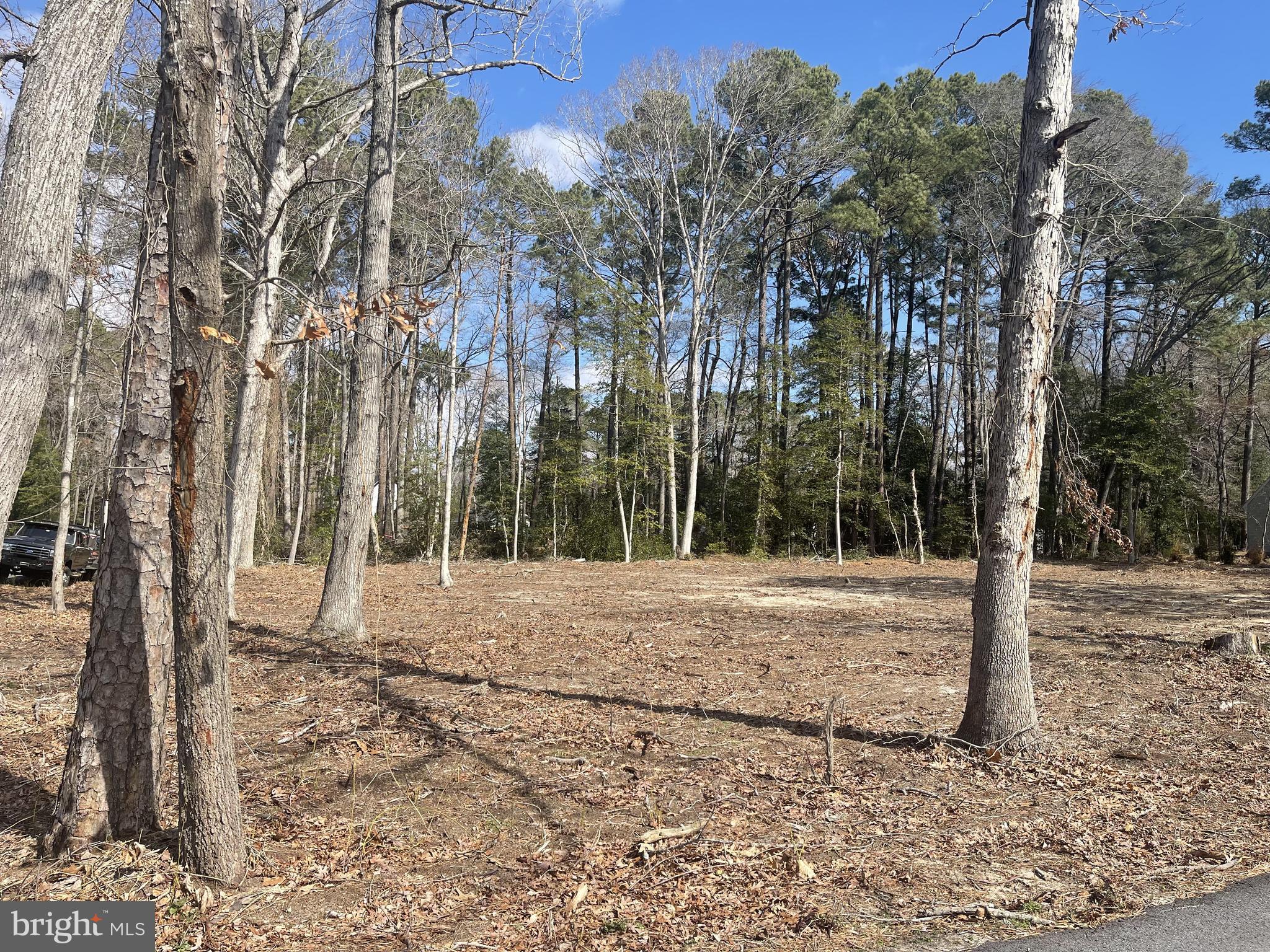 CORNER OF PINE GROVE & HOLLY OAK DRIVE