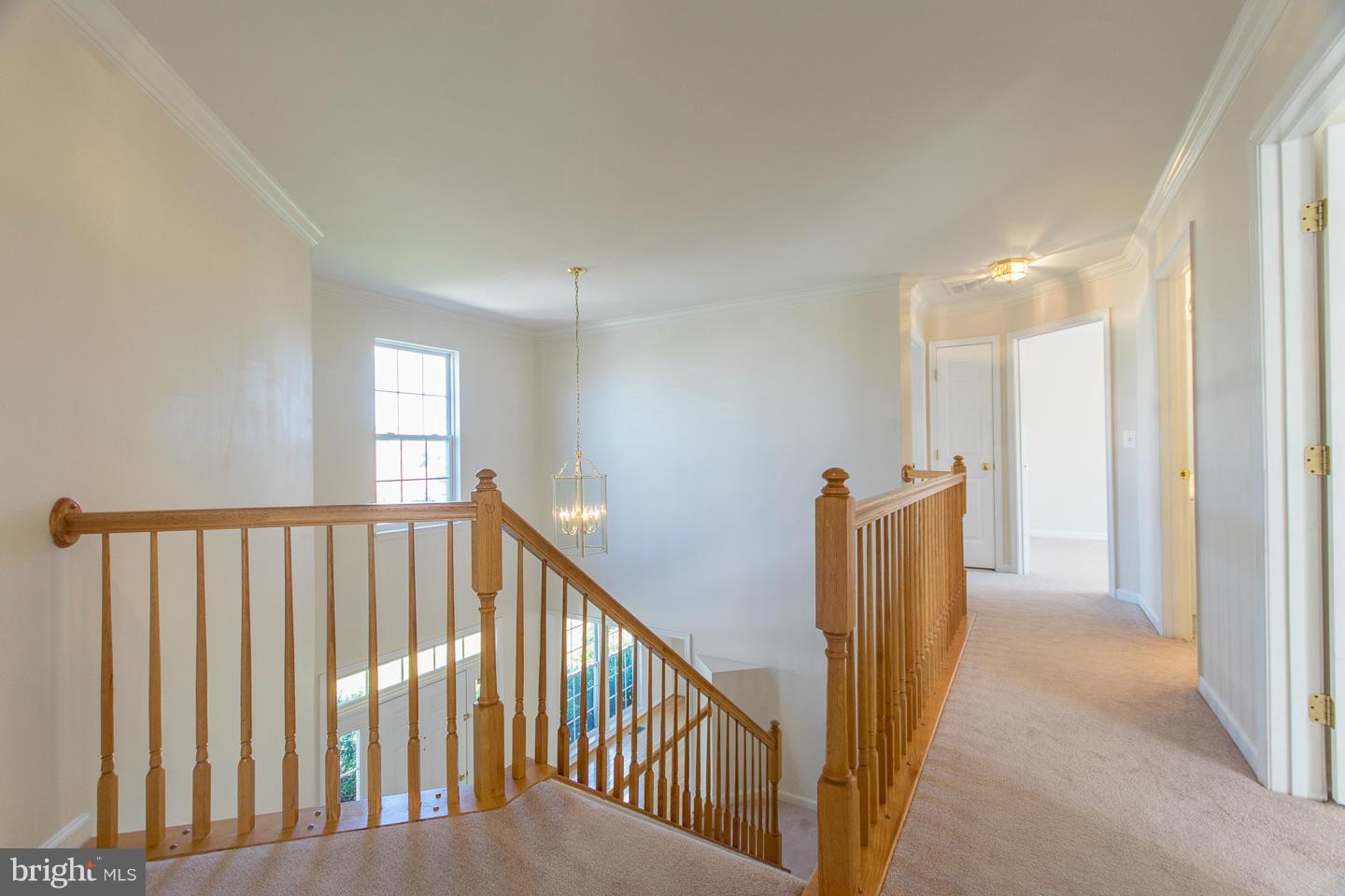 LOCUST HILL - Residential