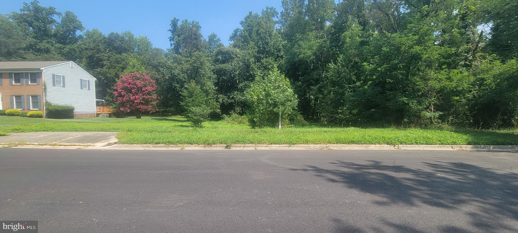 1005 SERO ESTATES DRIVE