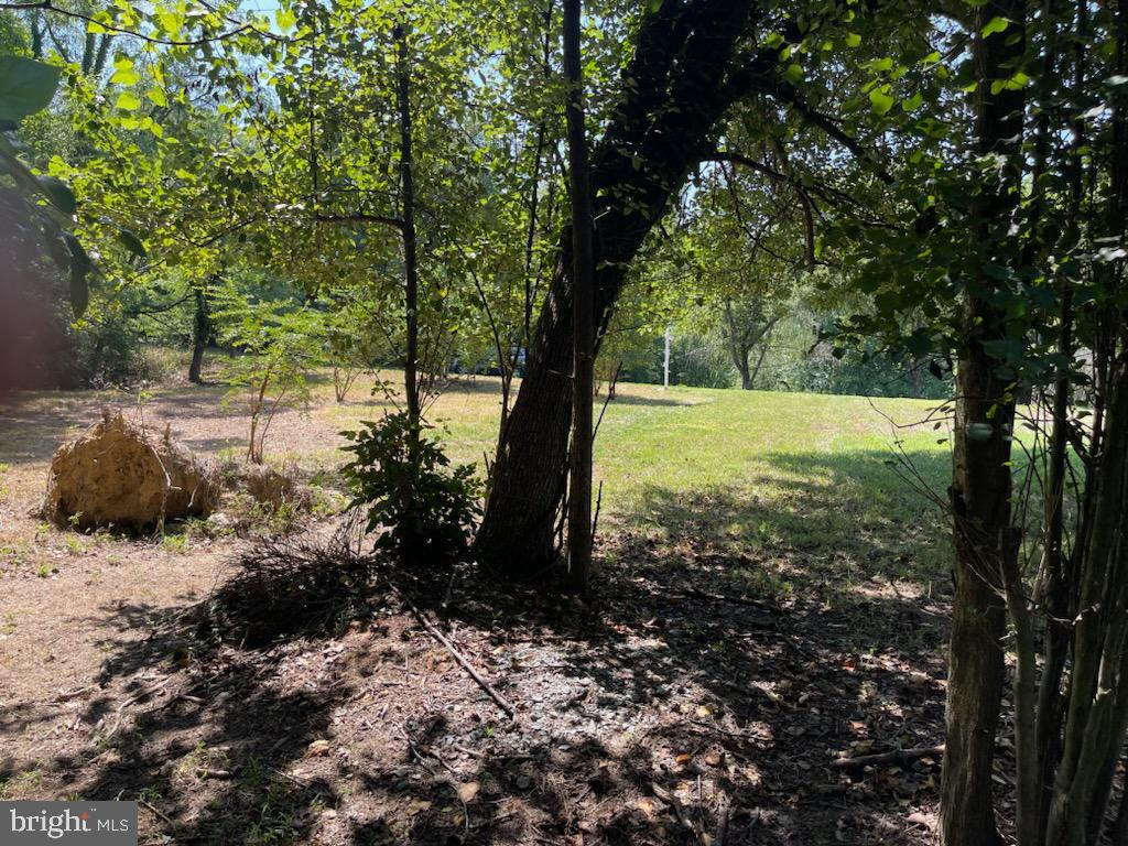 1005 SERO ESTATES DRIVE