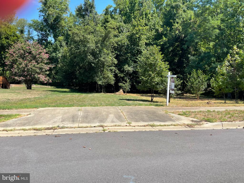 1005 SERO ESTATES DRIVE