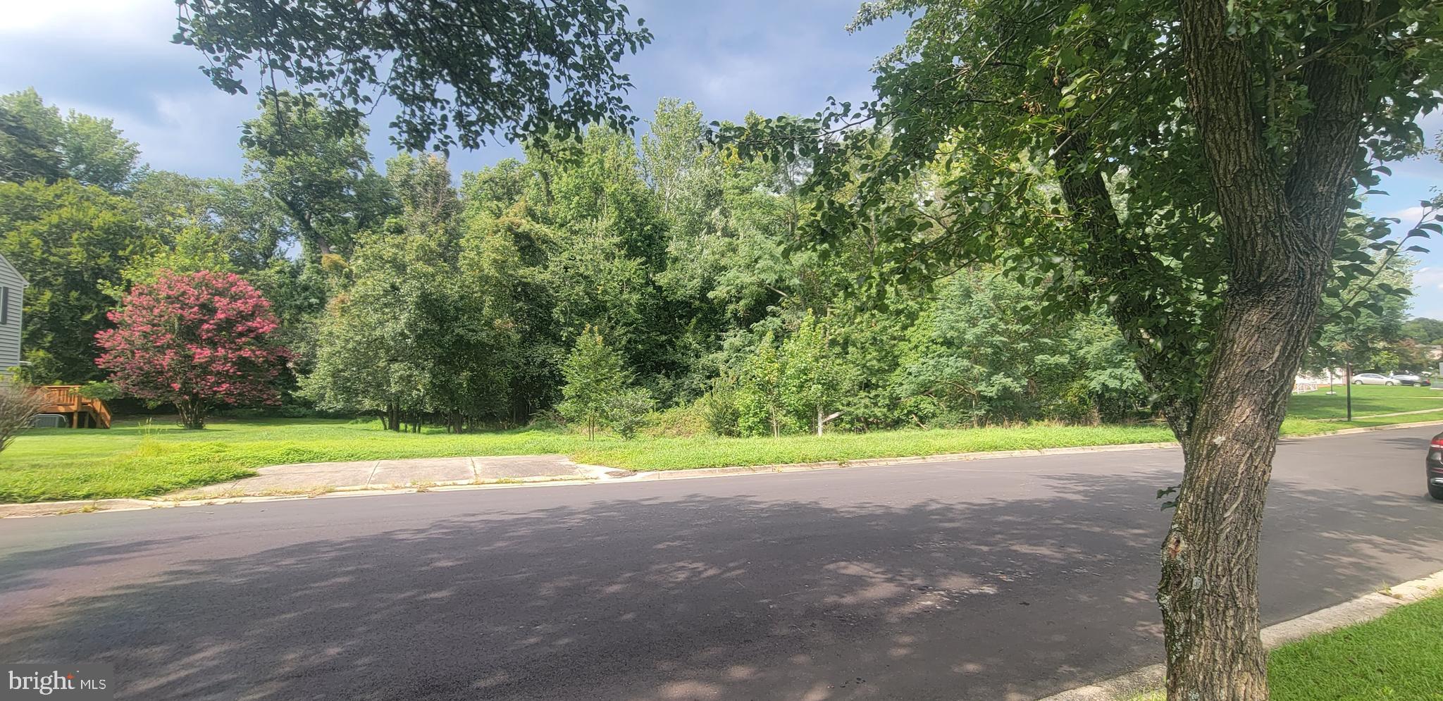 1005 SERO ESTATES DRIVE