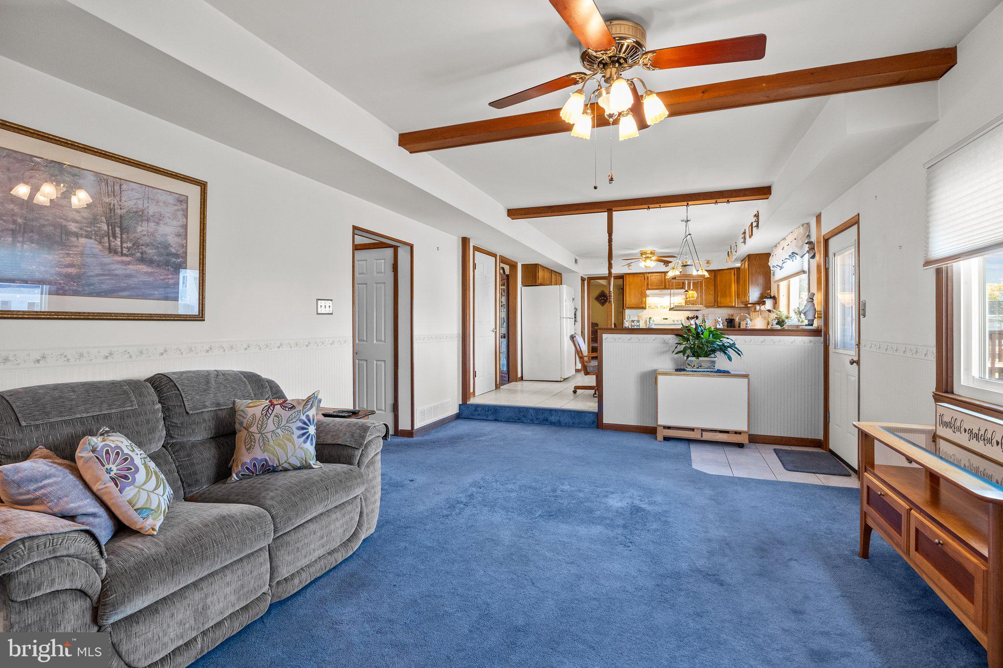 PLUMBRIDGE - Residential