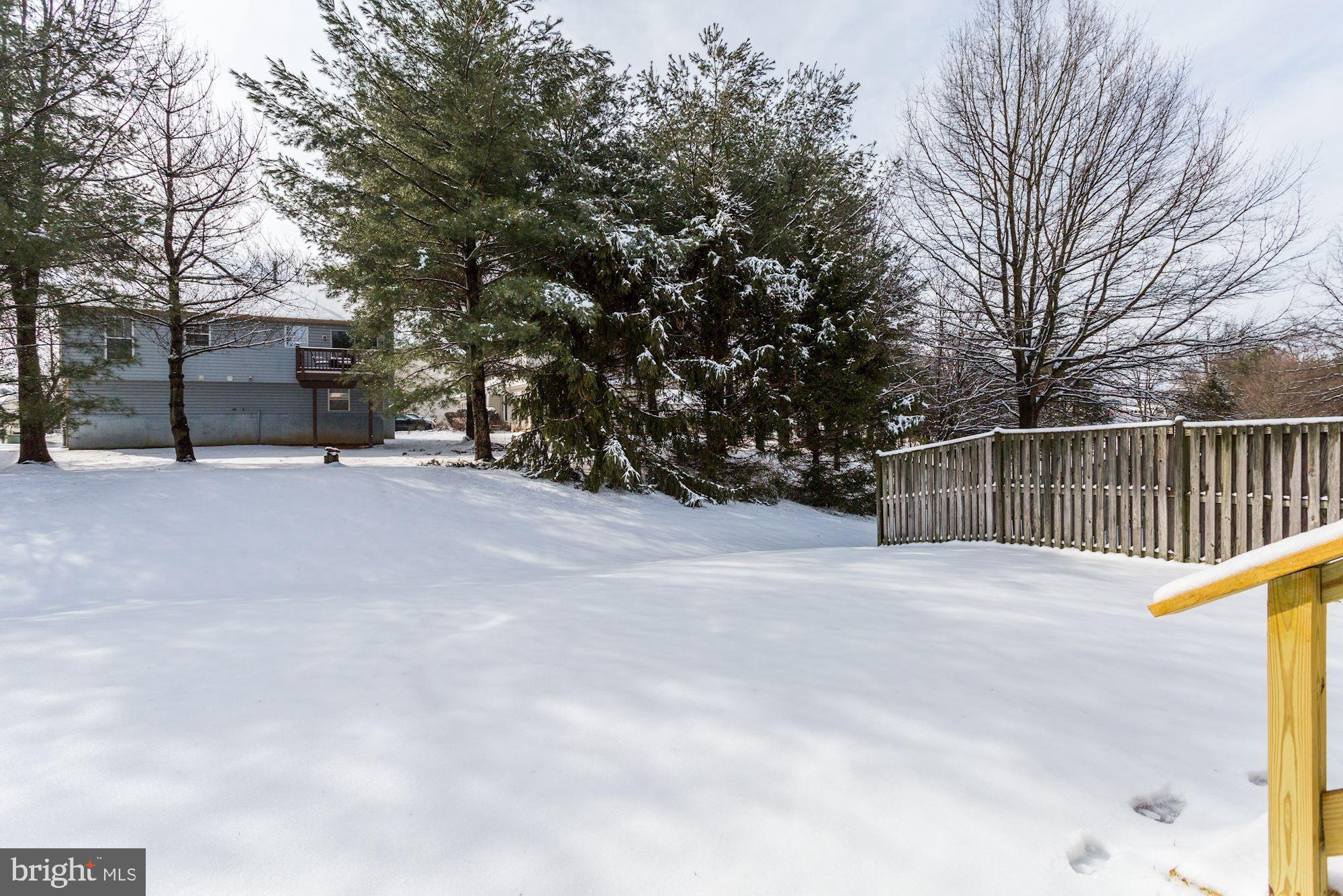 VILLAGE OF PAINTERS MILL - Residential