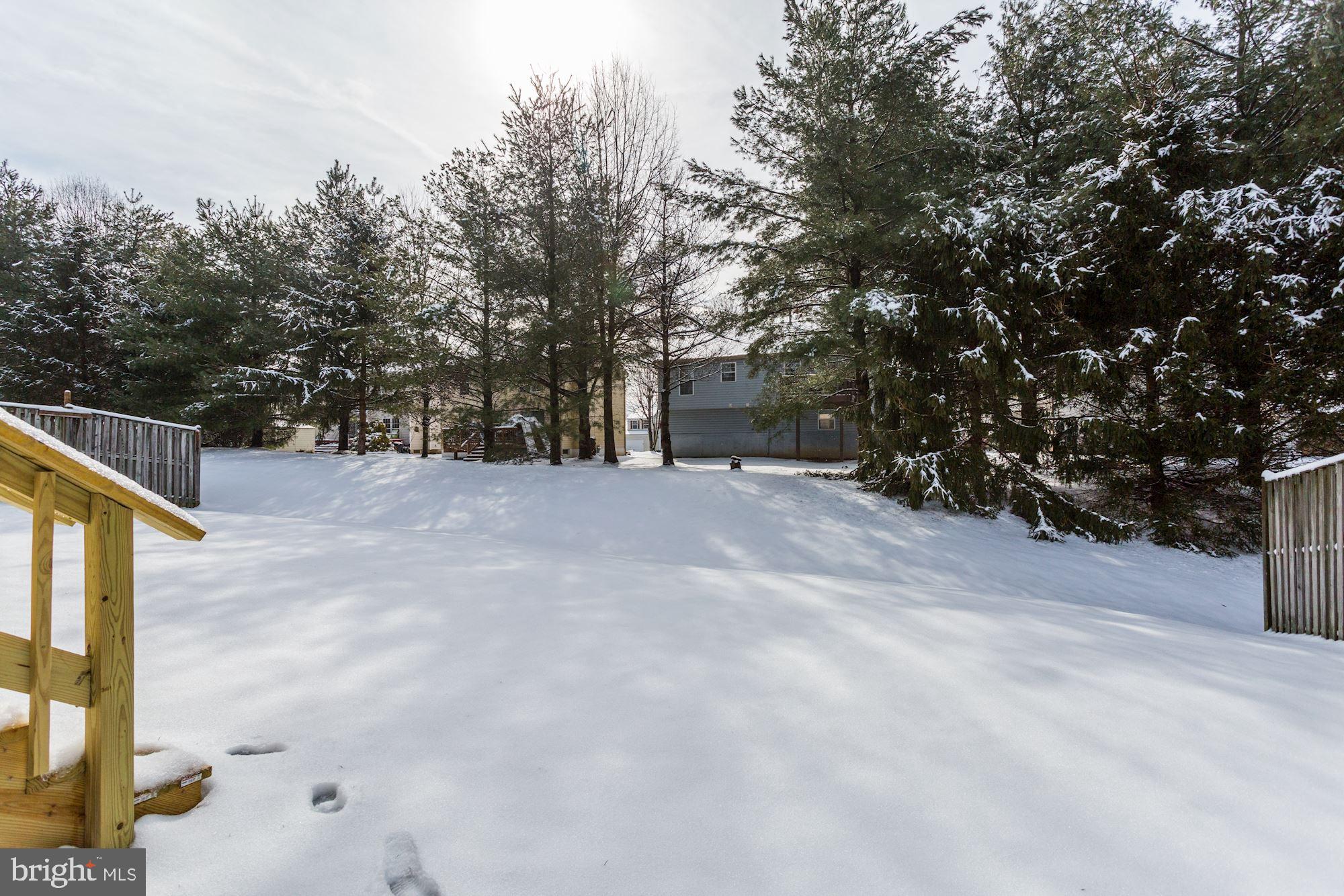 VILLAGE OF PAINTERS MILL - Residential