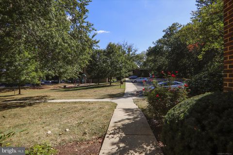 listing image 36