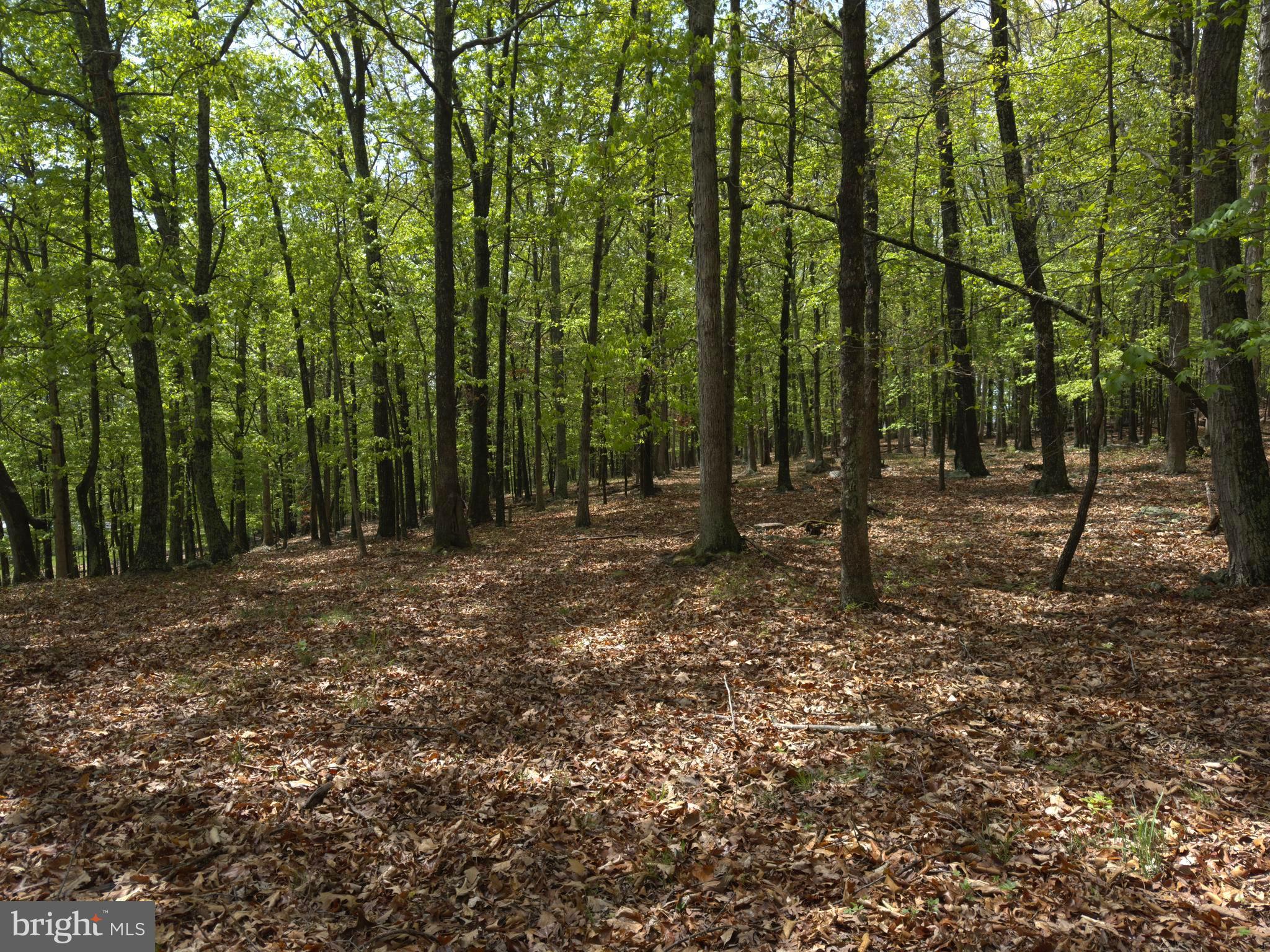 ORCHARD VIEW ESTATES - Land