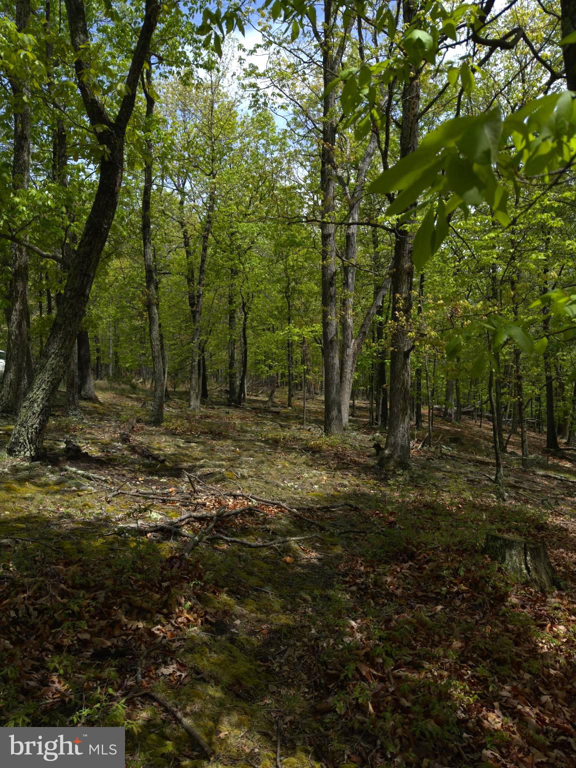 ORCHARD VIEW ESTATES - Land