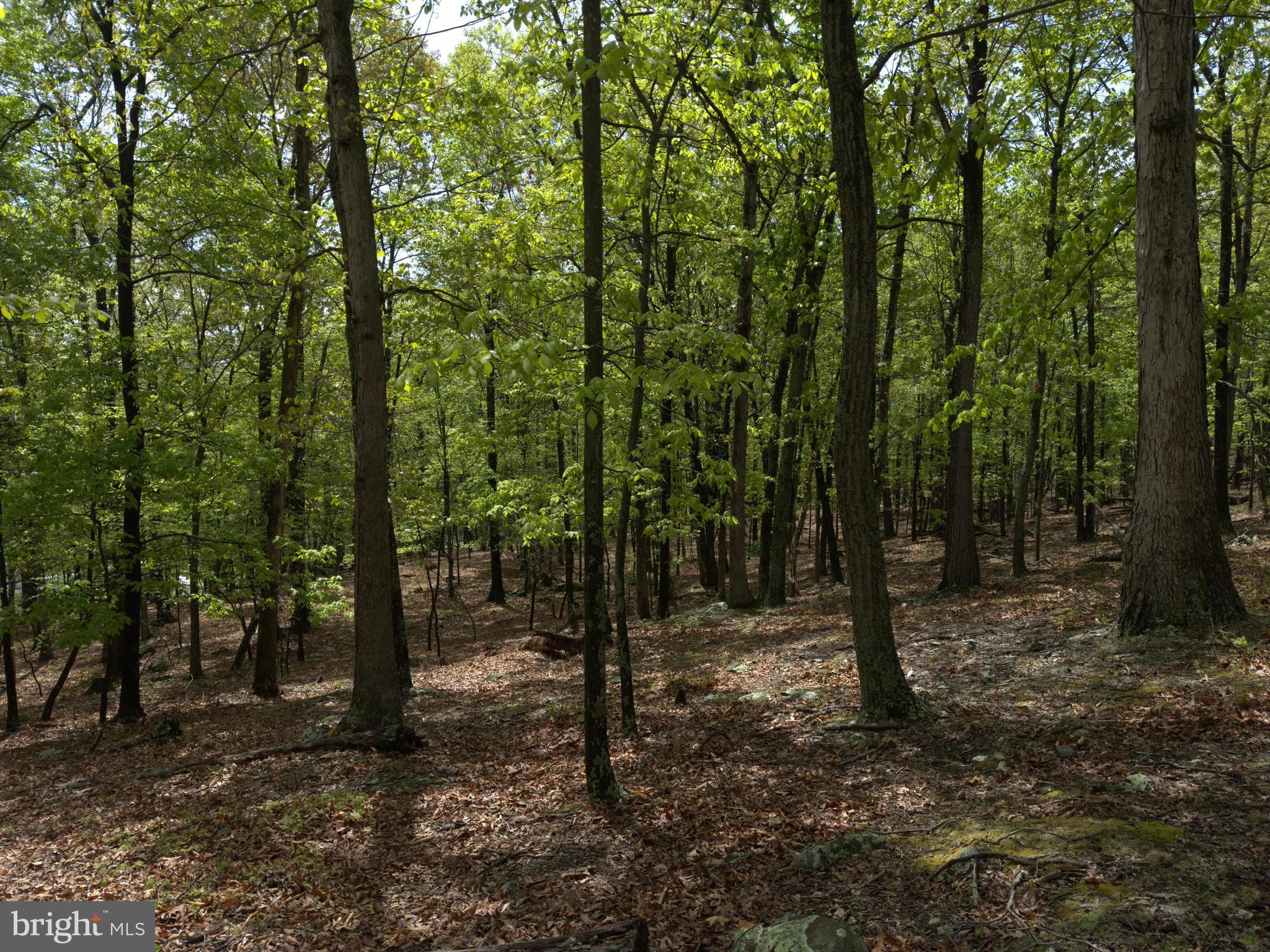 ORCHARD VIEW ESTATES - Land