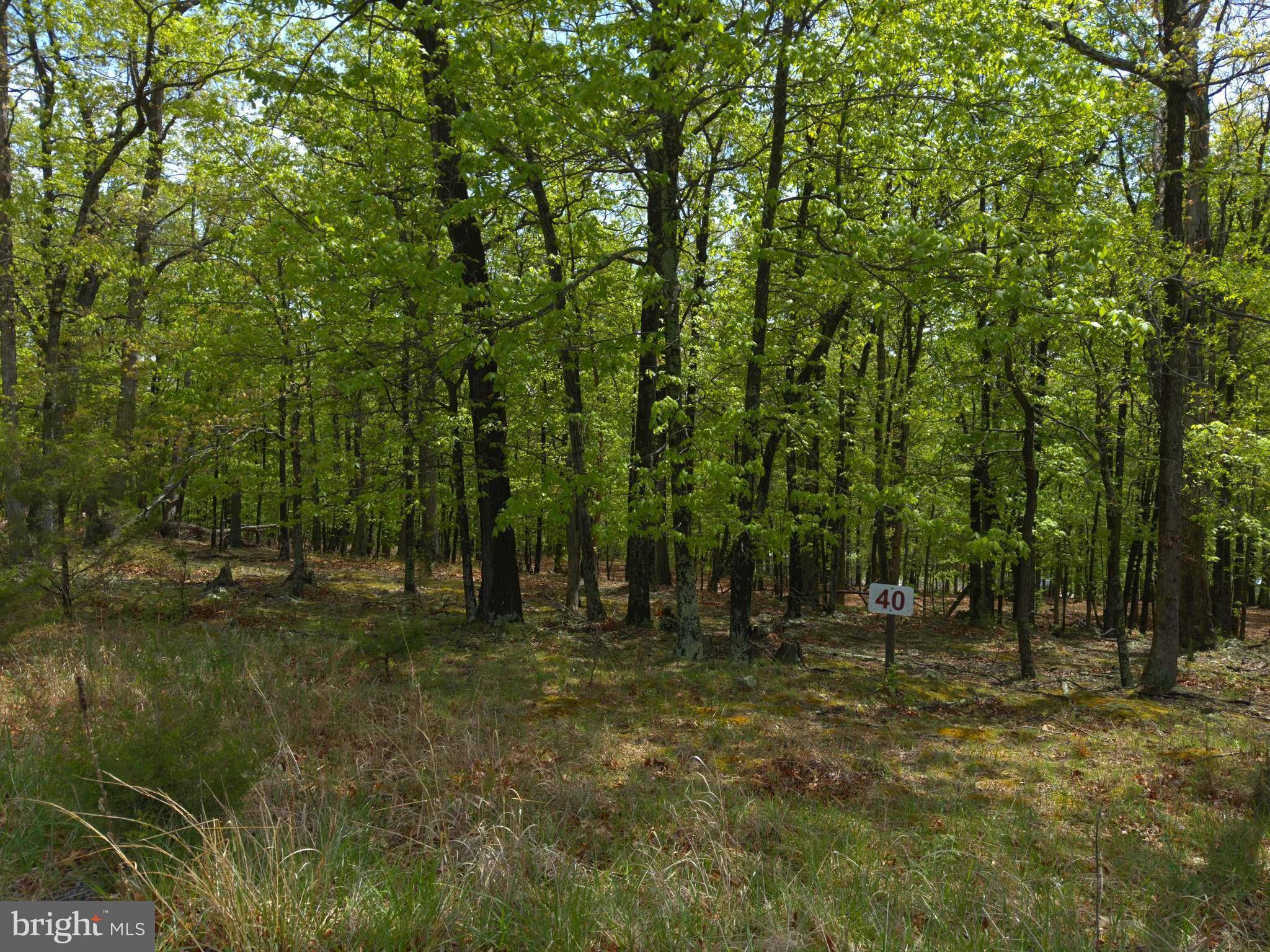 ORCHARD VIEW ESTATES - Land