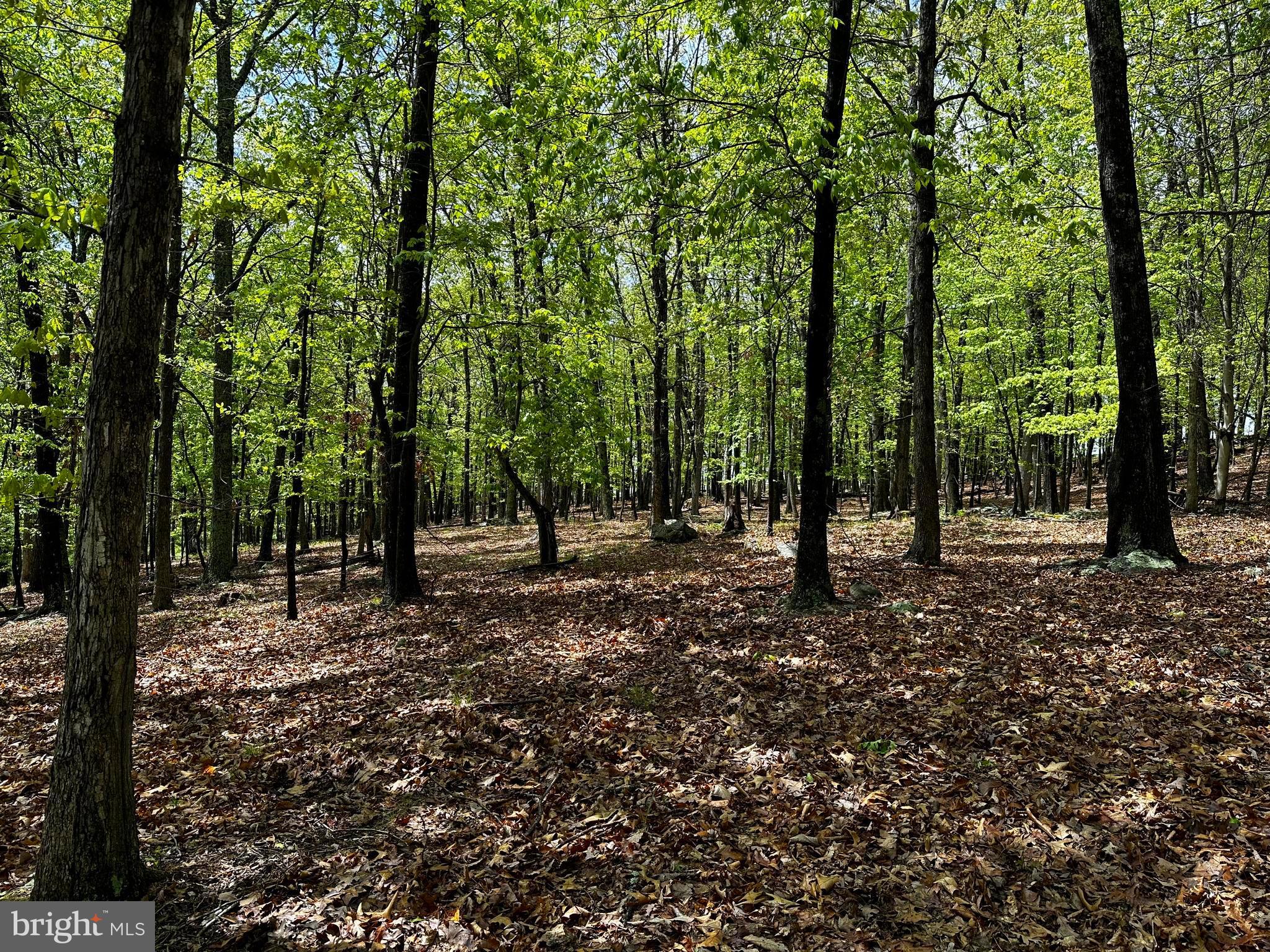 ORCHARD VIEW ESTATES - Land