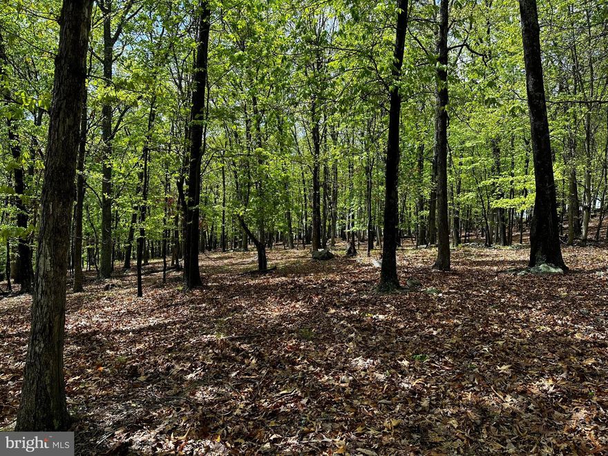 JUST OUT OF TOWN : come see what you can do with this 3+ wooded acre property close to small town, Petersburg. This property is slightly sloping and would make a great homesite with a view. Quick easy access, off a paved  development road makes it convenient to go any direction desired. All wooded property and at the end of a "No thru" road, ready to make your vision a reality.  Electric & PUBLIC WATER hookup at the site.   Enjoy what the local area has to offer.  National Forest, River, Ski Slopes, & quaint towns are just a short drive away for swimming,  fishing, hiking, golfing, skiing, dining, rock climbing and horse back riding to name a few.