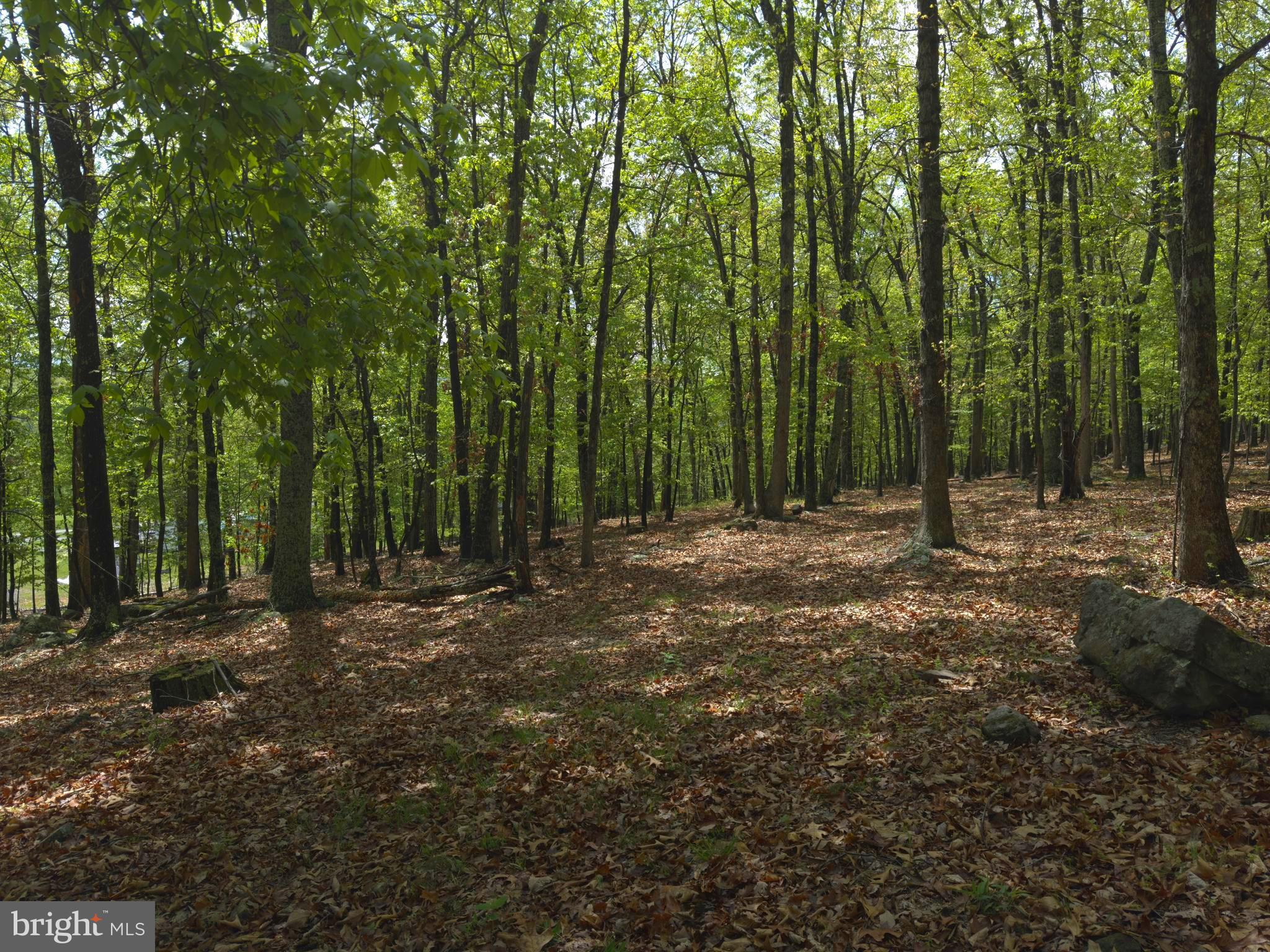 ORCHARD VIEW ESTATES - Land