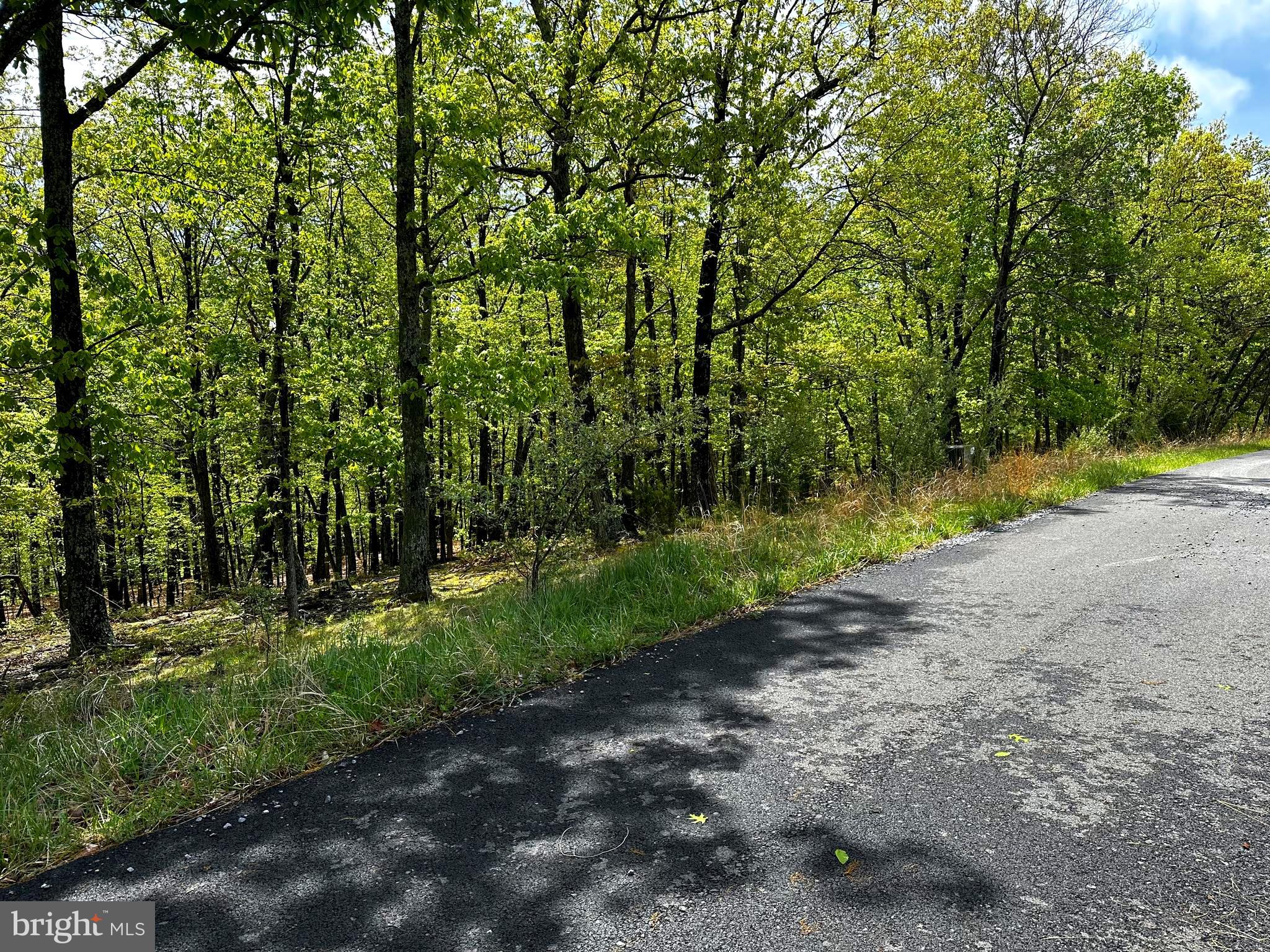 ORCHARD VIEW ESTATES - Land