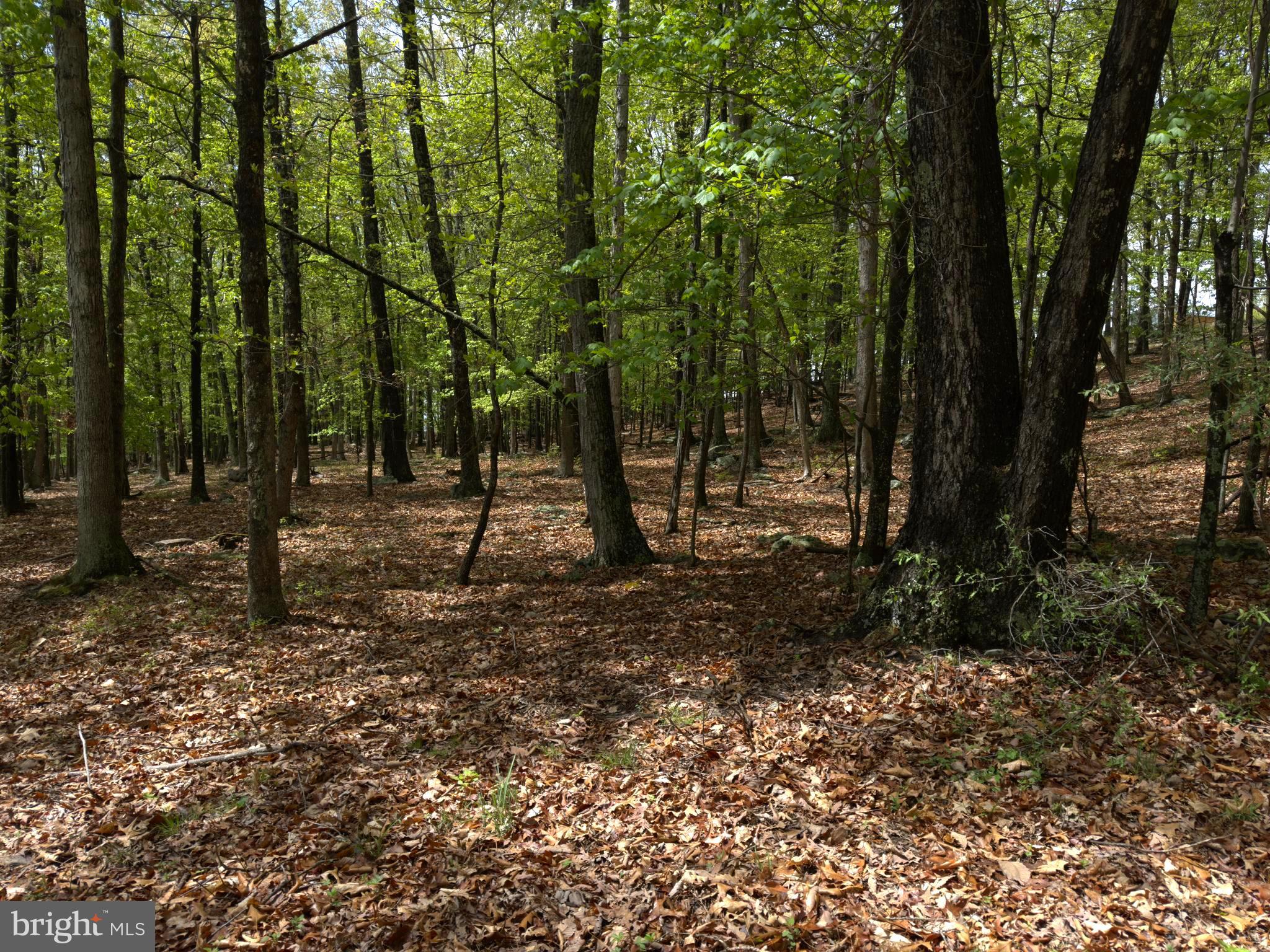 ORCHARD VIEW ESTATES - Land