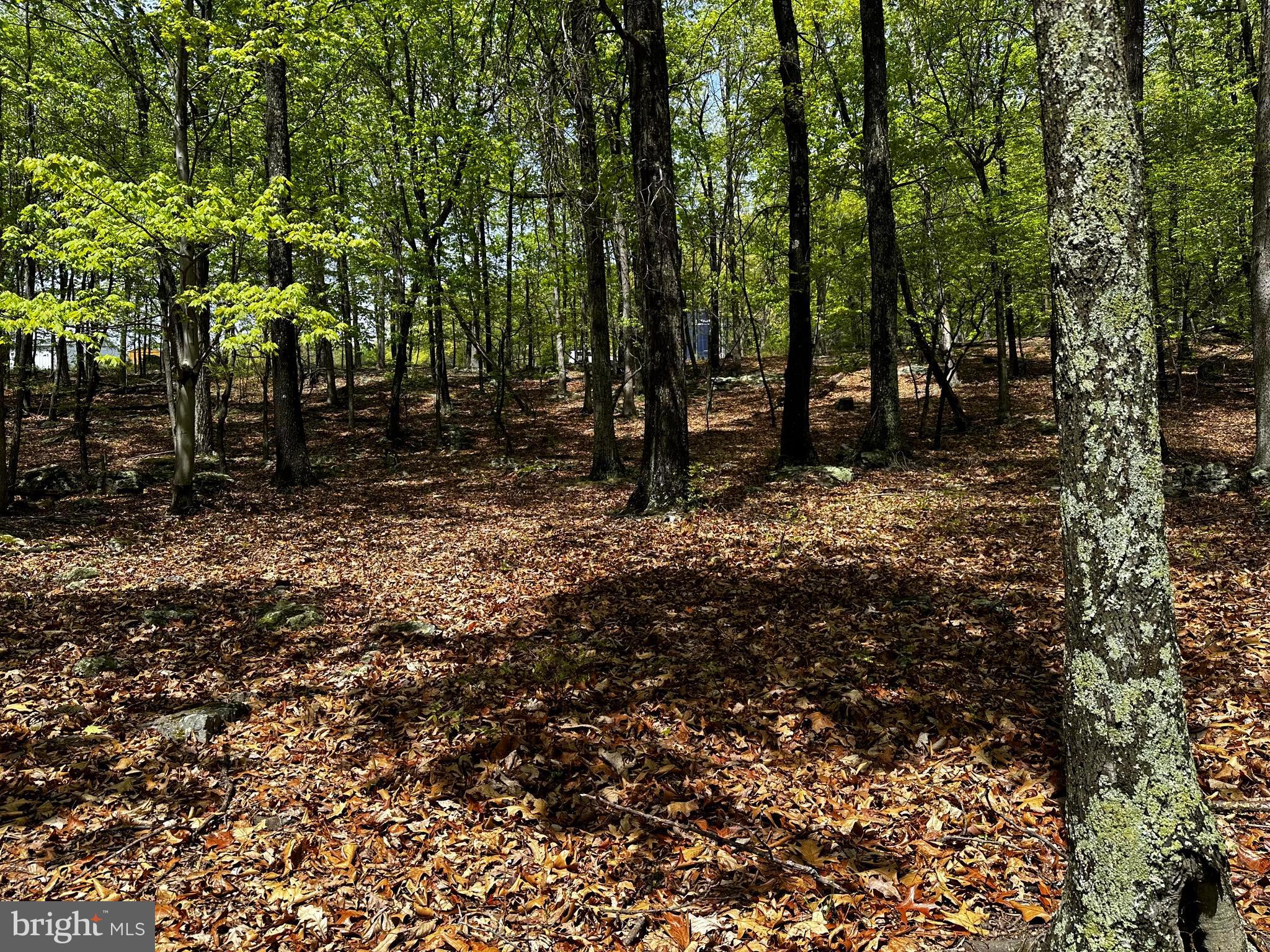 ORCHARD VIEW ESTATES - Land