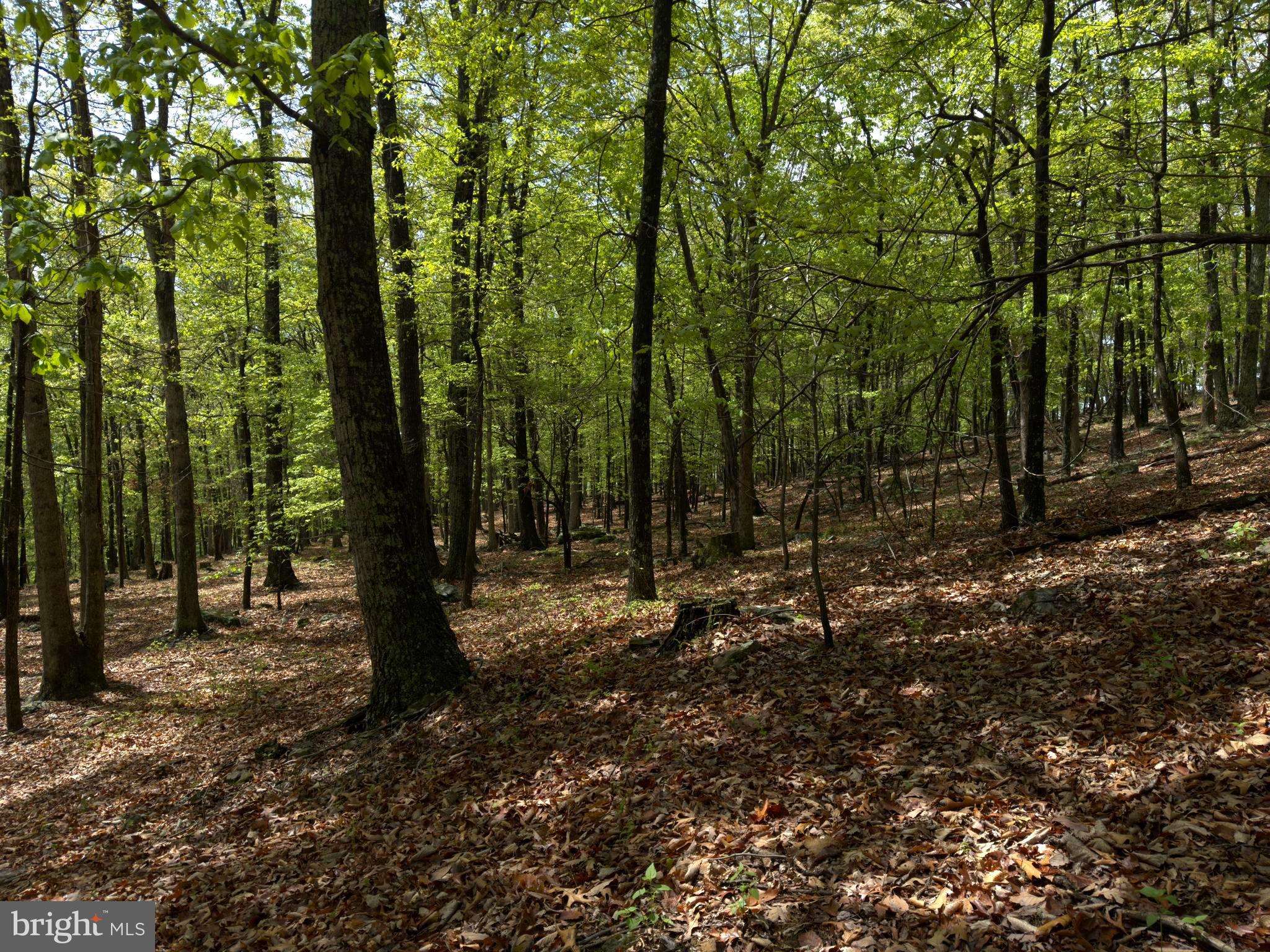 ORCHARD VIEW ESTATES - Land